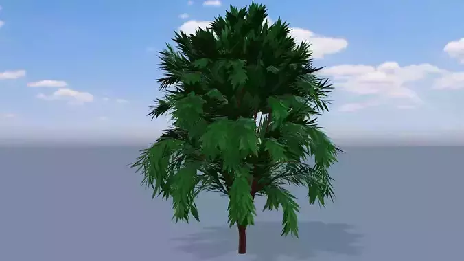 FBX tree made with blender