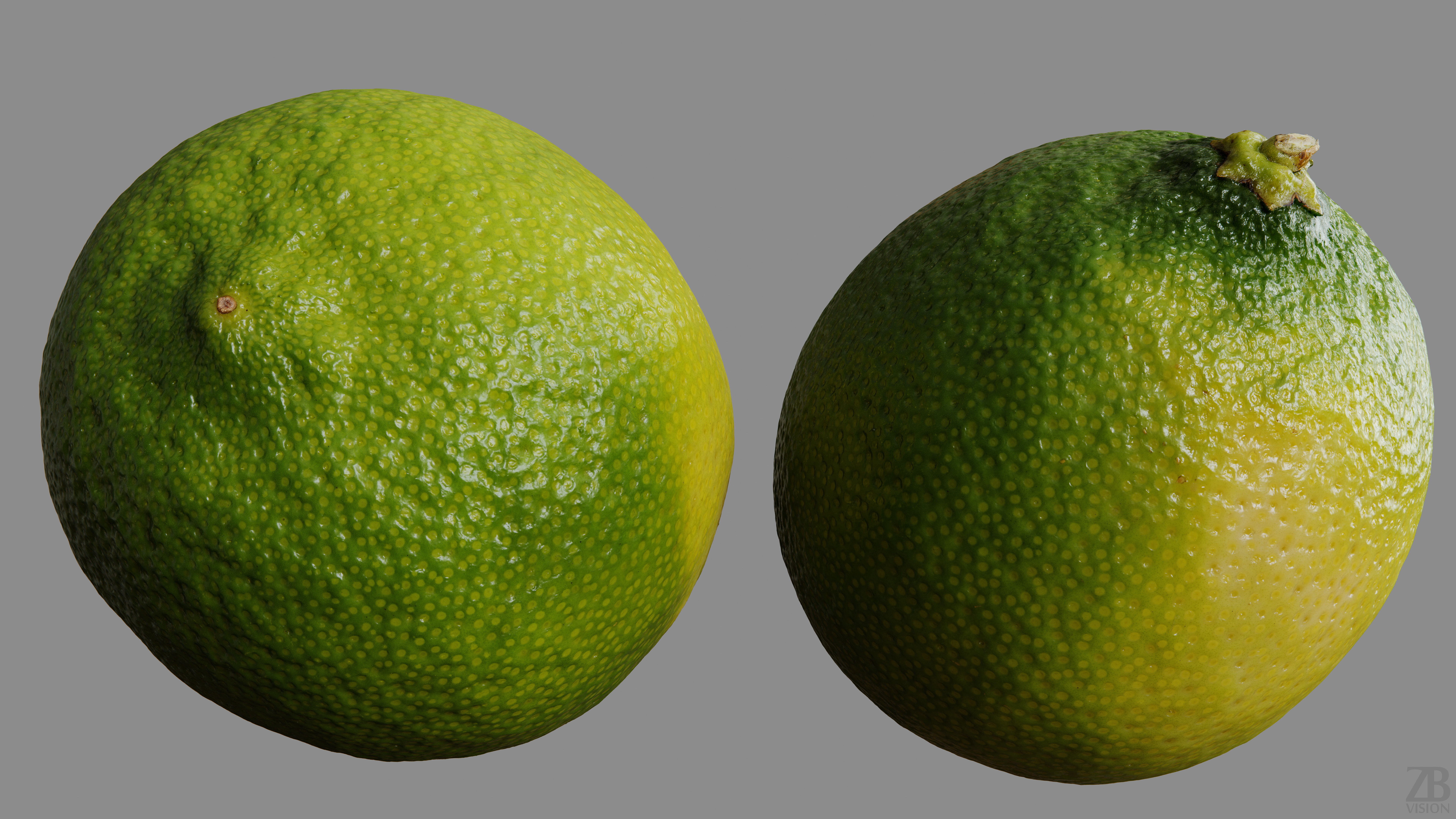 Lime  3D model_9