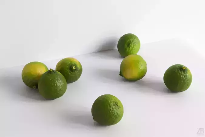 Lime  3D model
