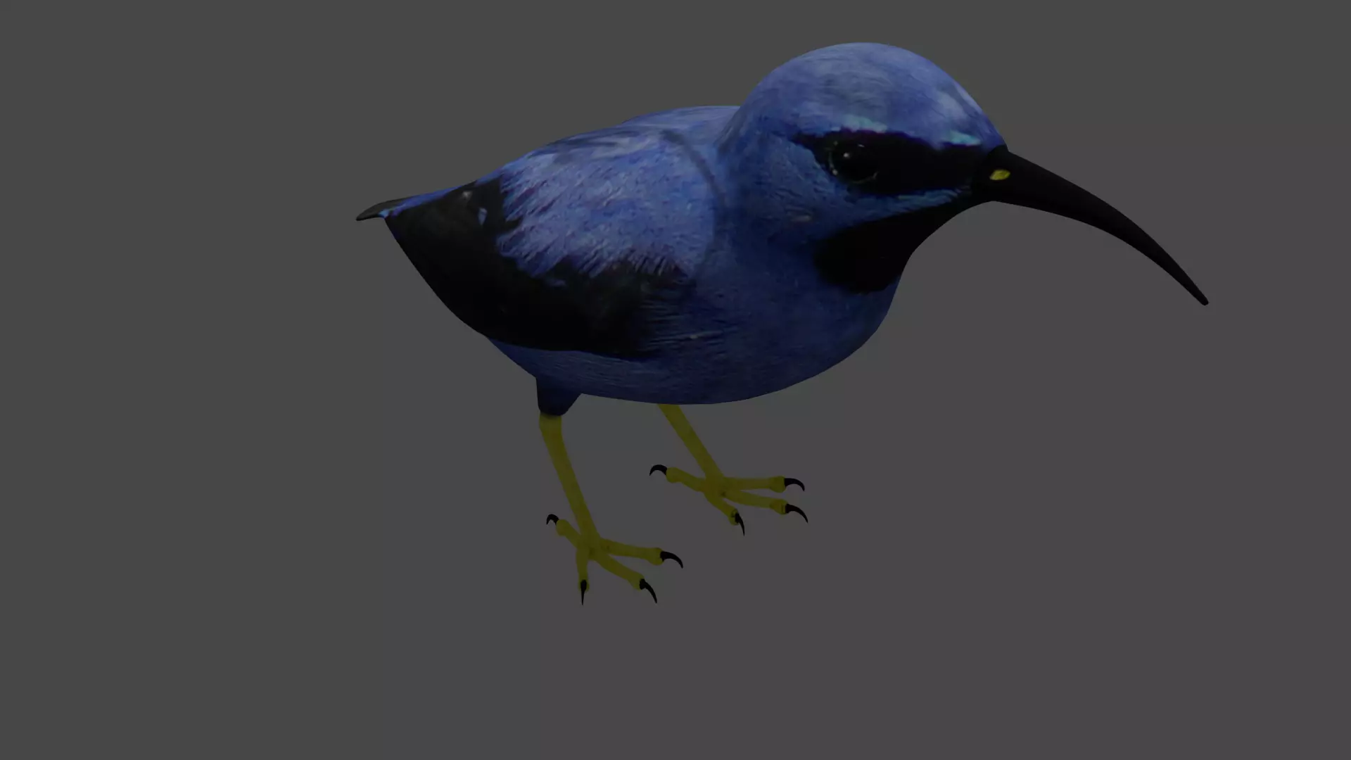 Cute bird Low-poly 3D model_0