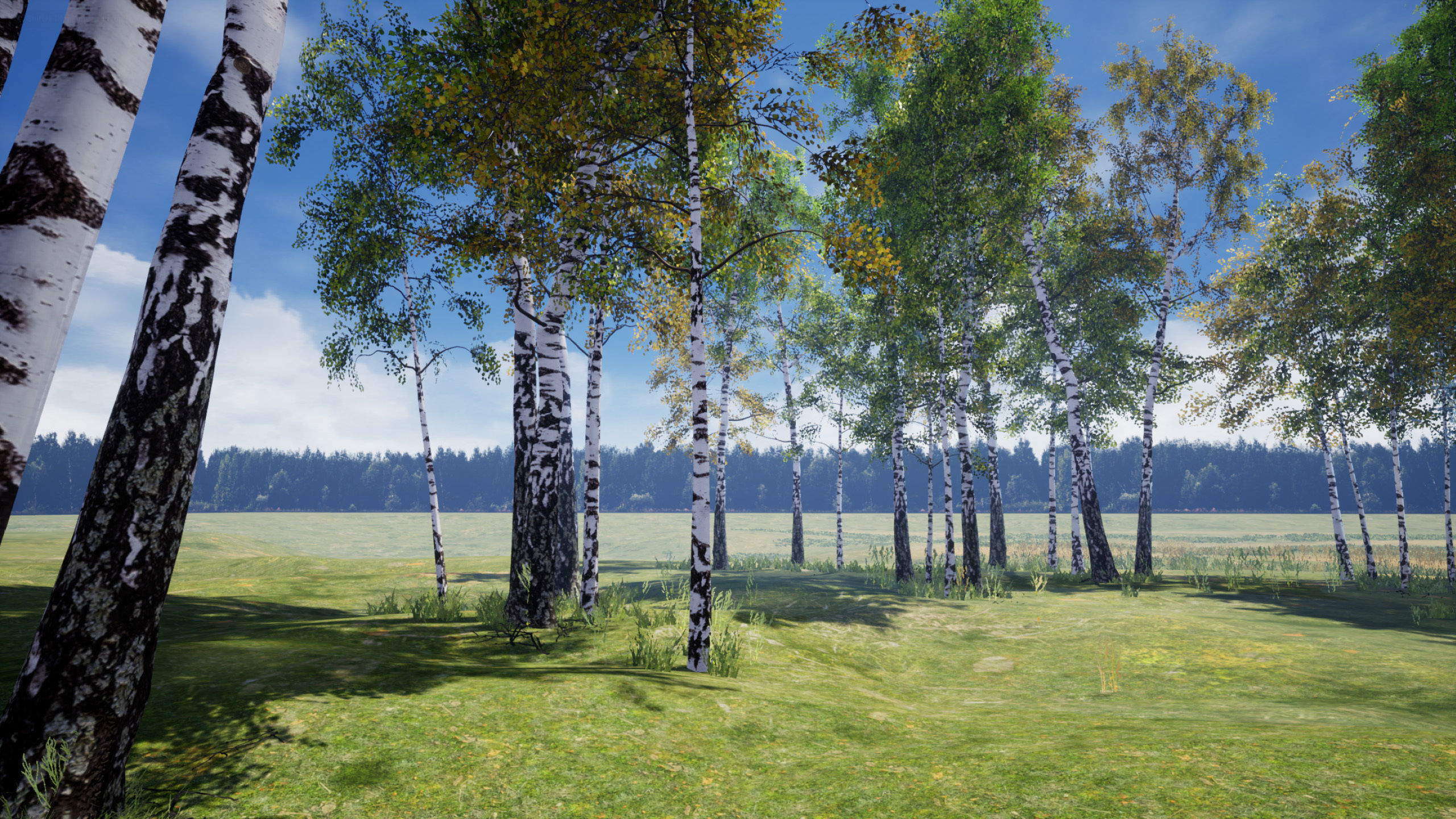 Birch-Tree Grove - low poly Low-poly 3D model_17