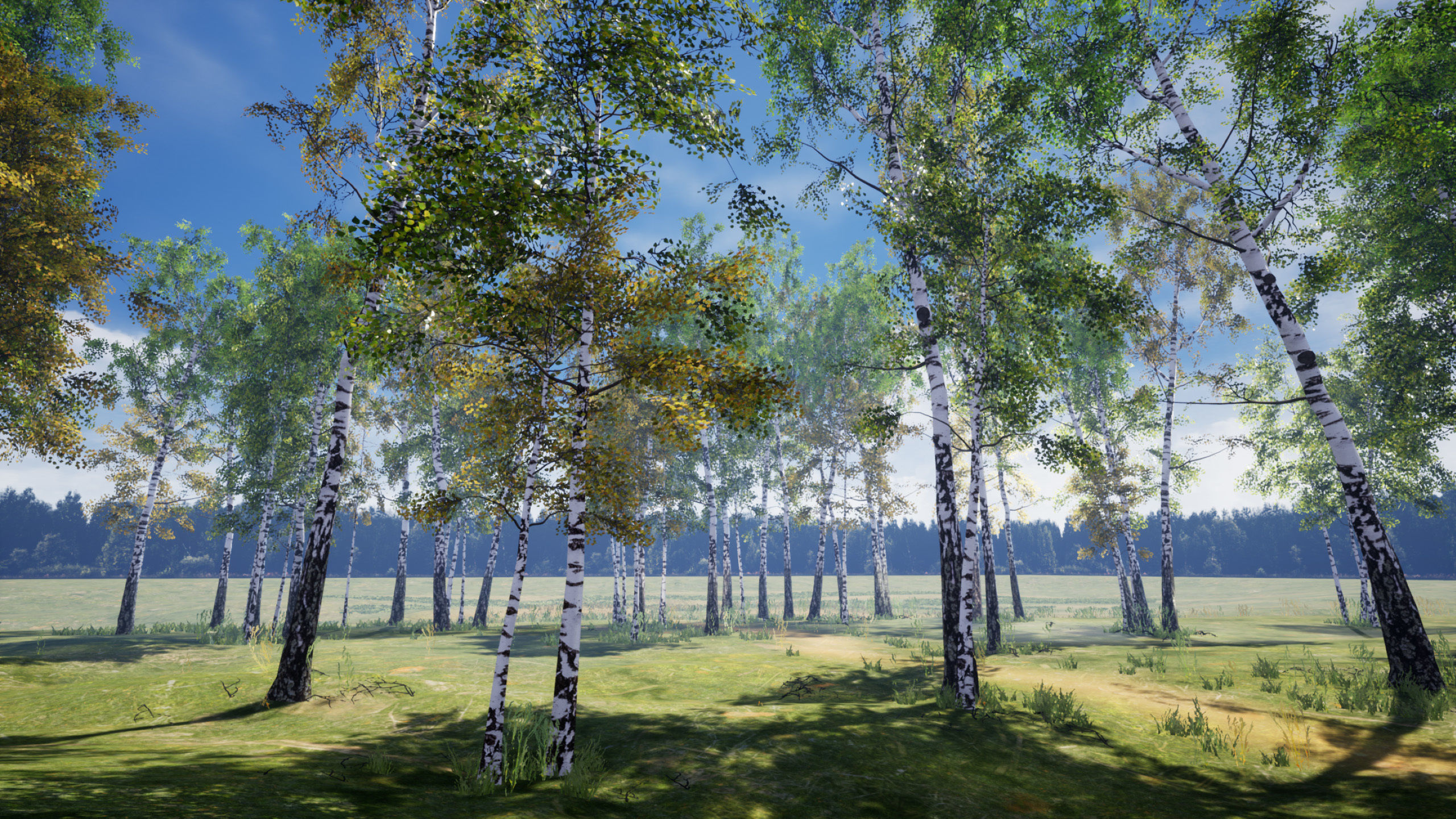 Birch-Tree Grove - low poly Low-poly 3D model_5