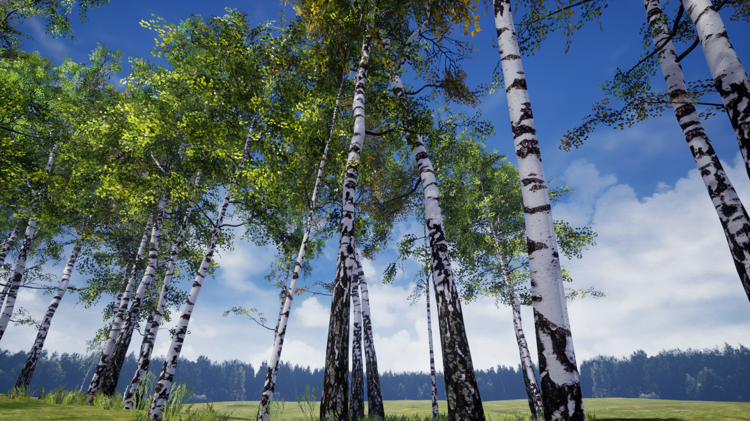 Birch-Tree Grove - low poly Low-poly 3D model_12