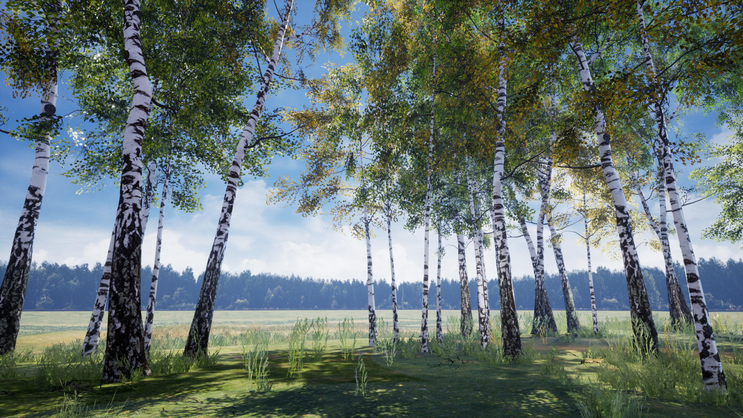 Birch-Tree Grove - low poly Low-poly 3D model_11