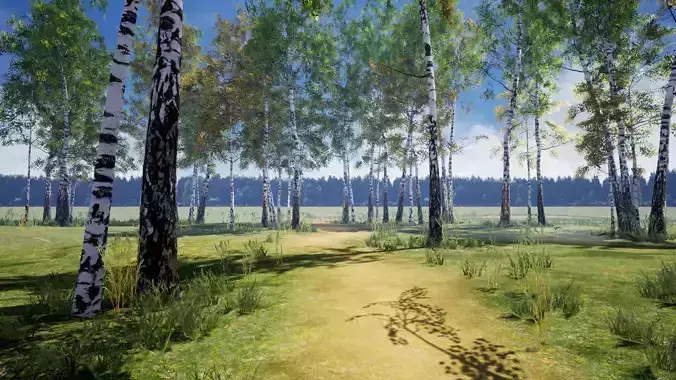 Birch-Tree Grove - low poly Low-poly 3D model