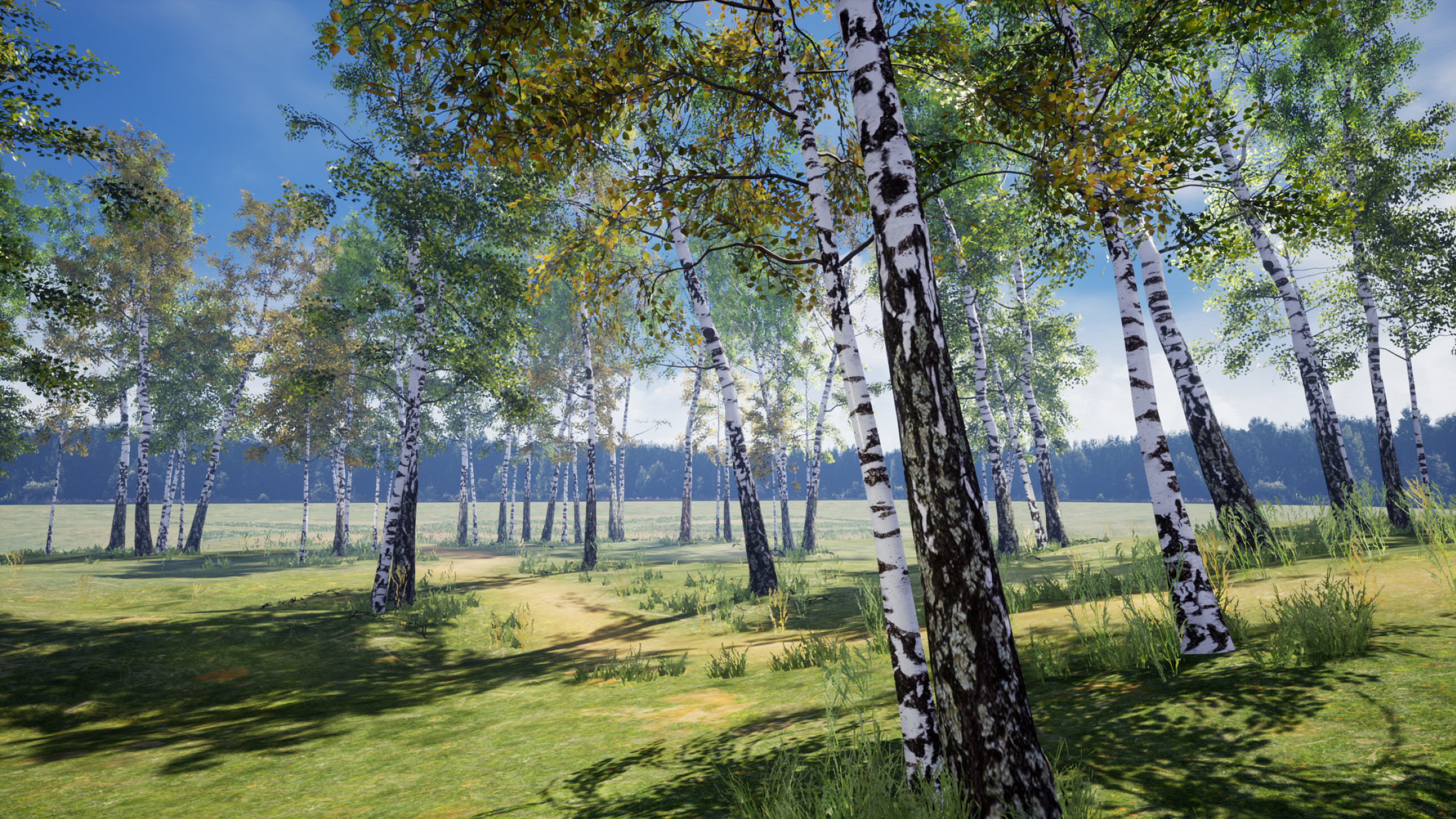 Birch-Tree Grove - low poly Low-poly 3D model_3