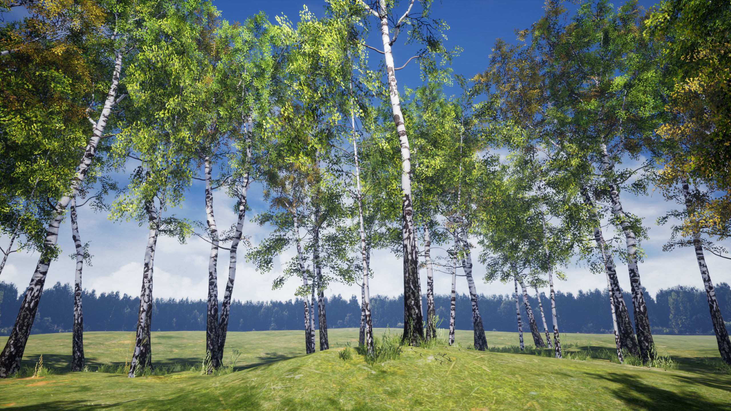 Birch-Tree Grove - low poly Low-poly 3D model_4