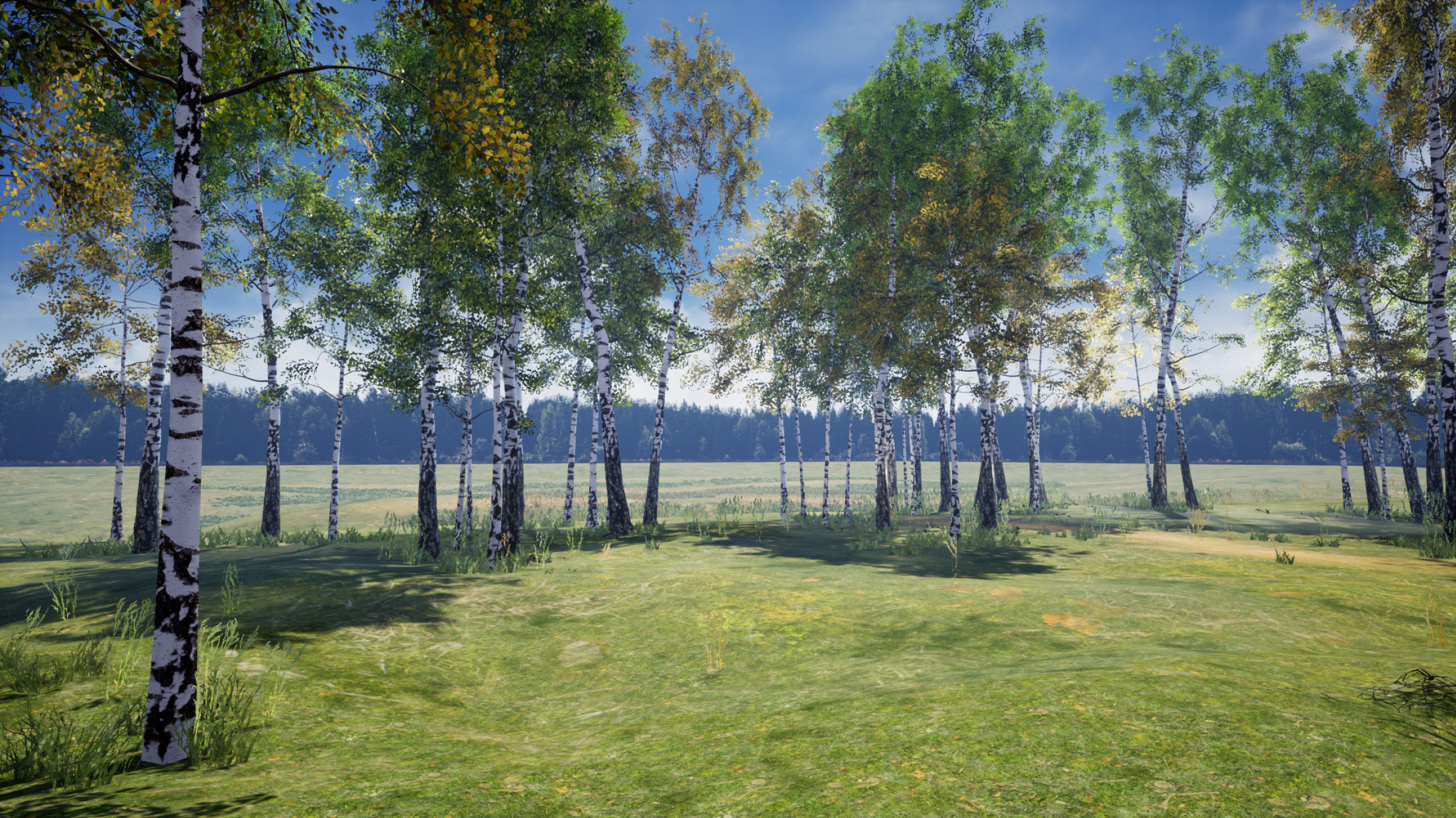 Birch-Tree Grove - low poly Low-poly 3D model_16