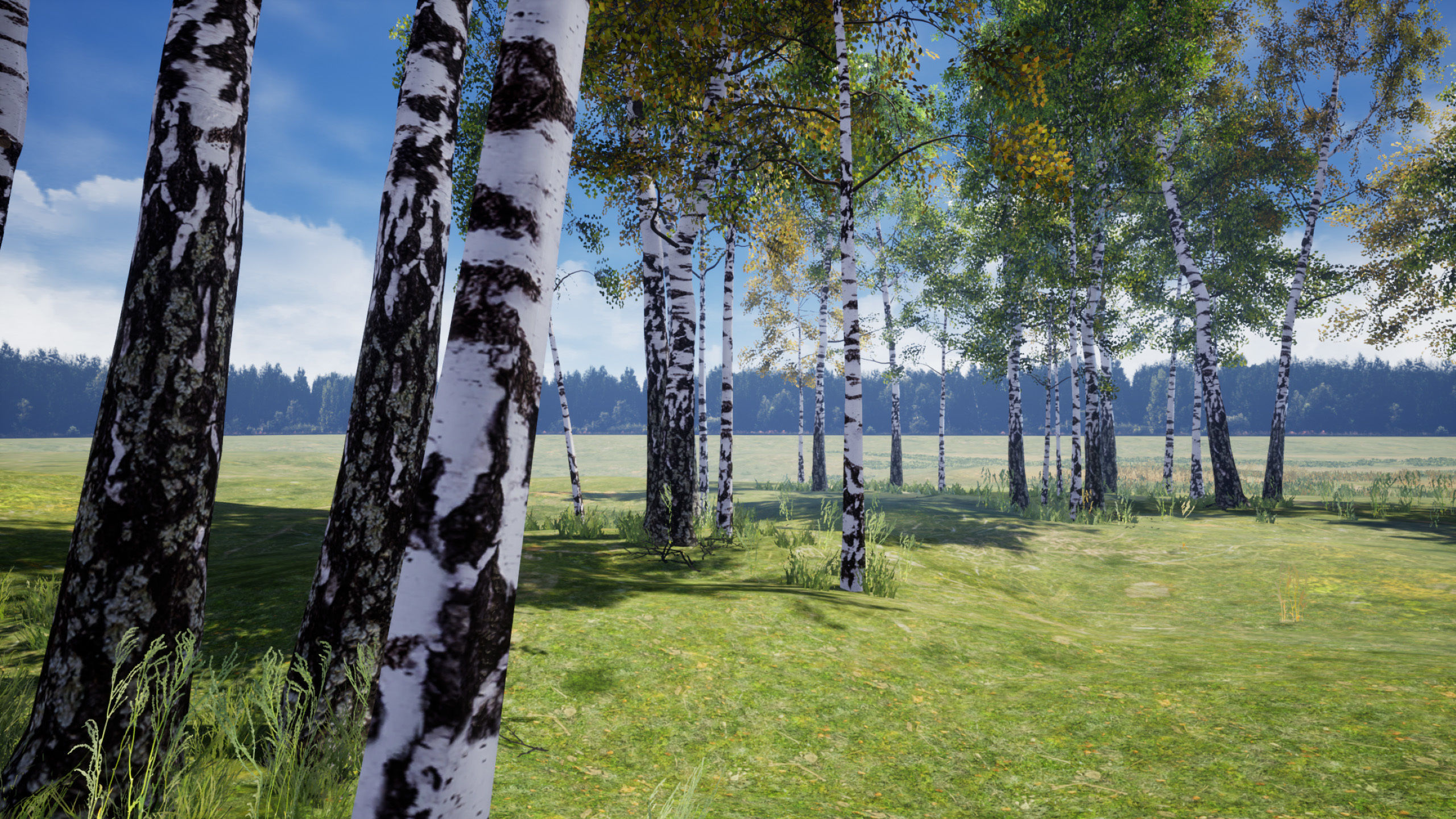 Birch-Tree Grove - low poly Low-poly 3D model_18