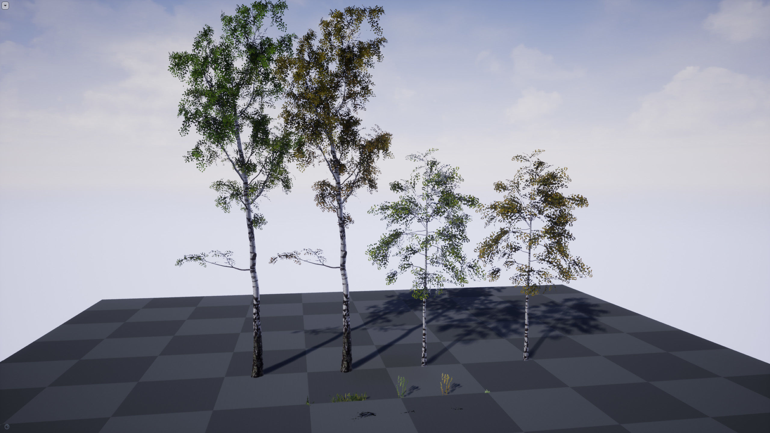 Birch-Tree Grove - low poly Low-poly 3D model_22