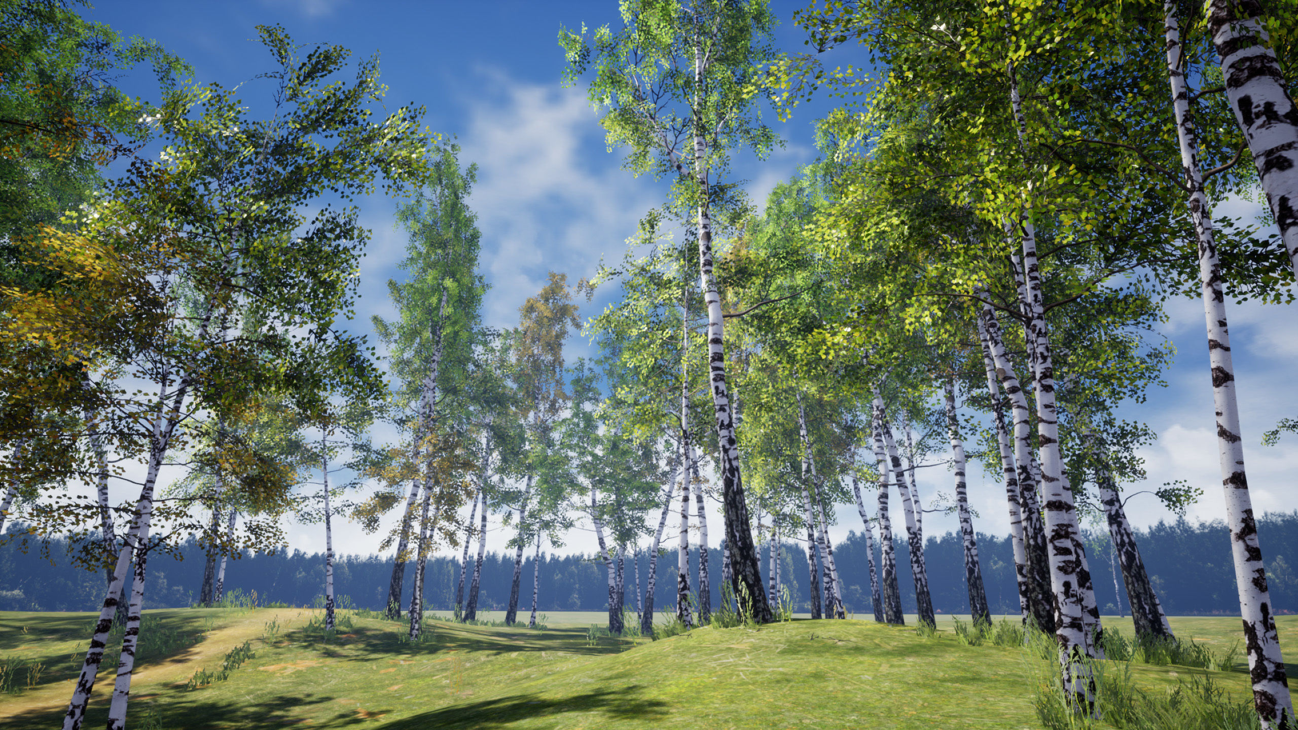 Birch-Tree Grove - low poly Low-poly 3D model_13