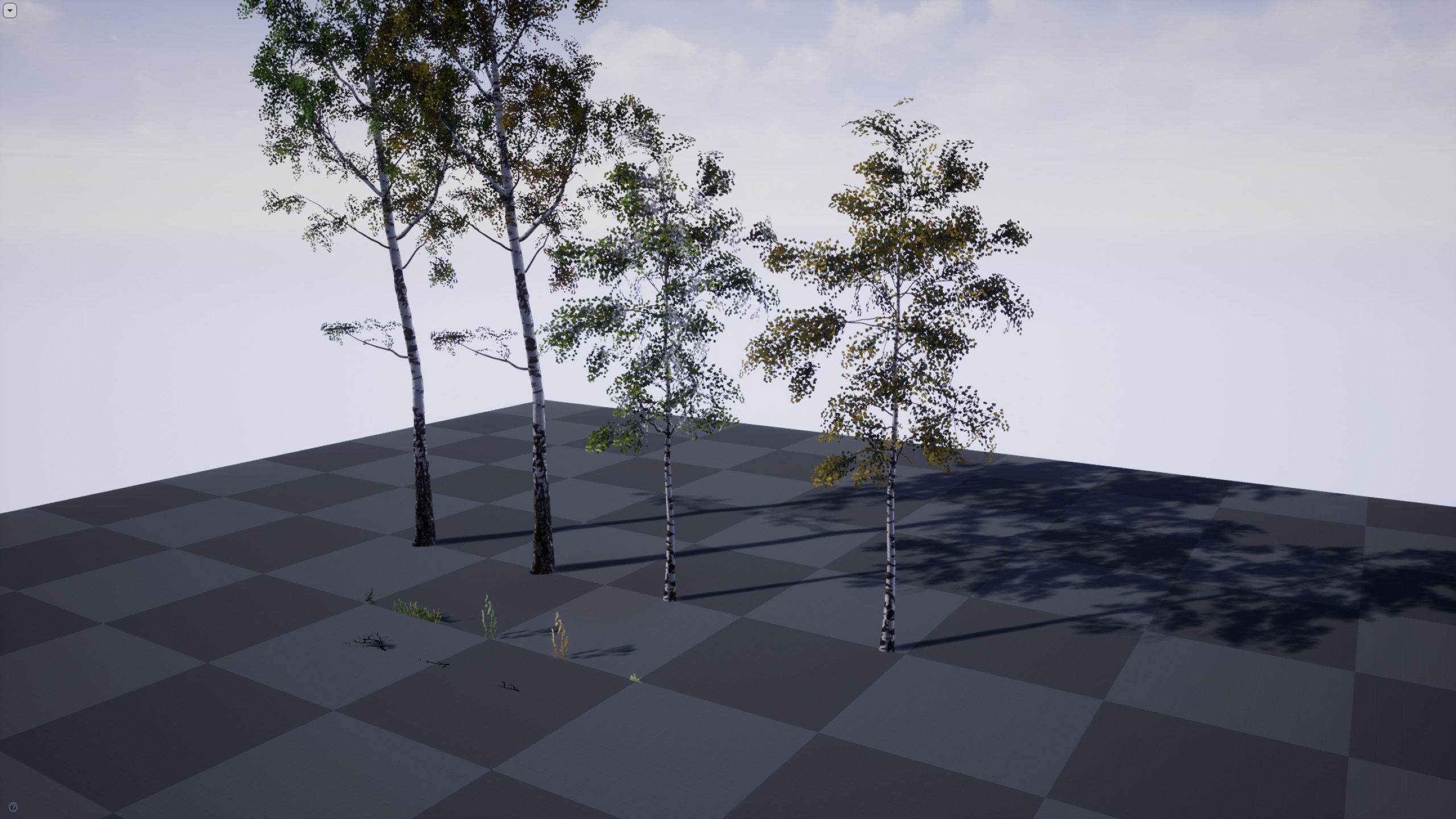 Birch-Tree Grove - low poly Low-poly 3D model_21