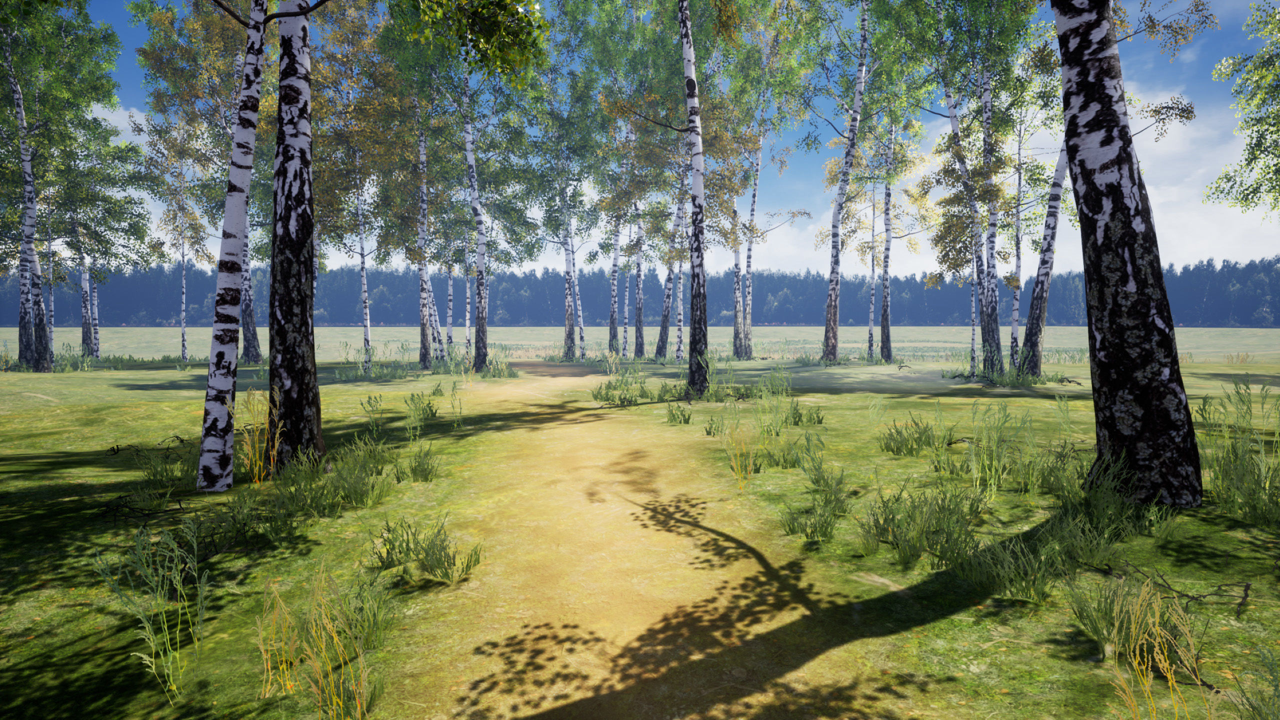 Birch-Tree Grove - low poly Low-poly 3D model_1