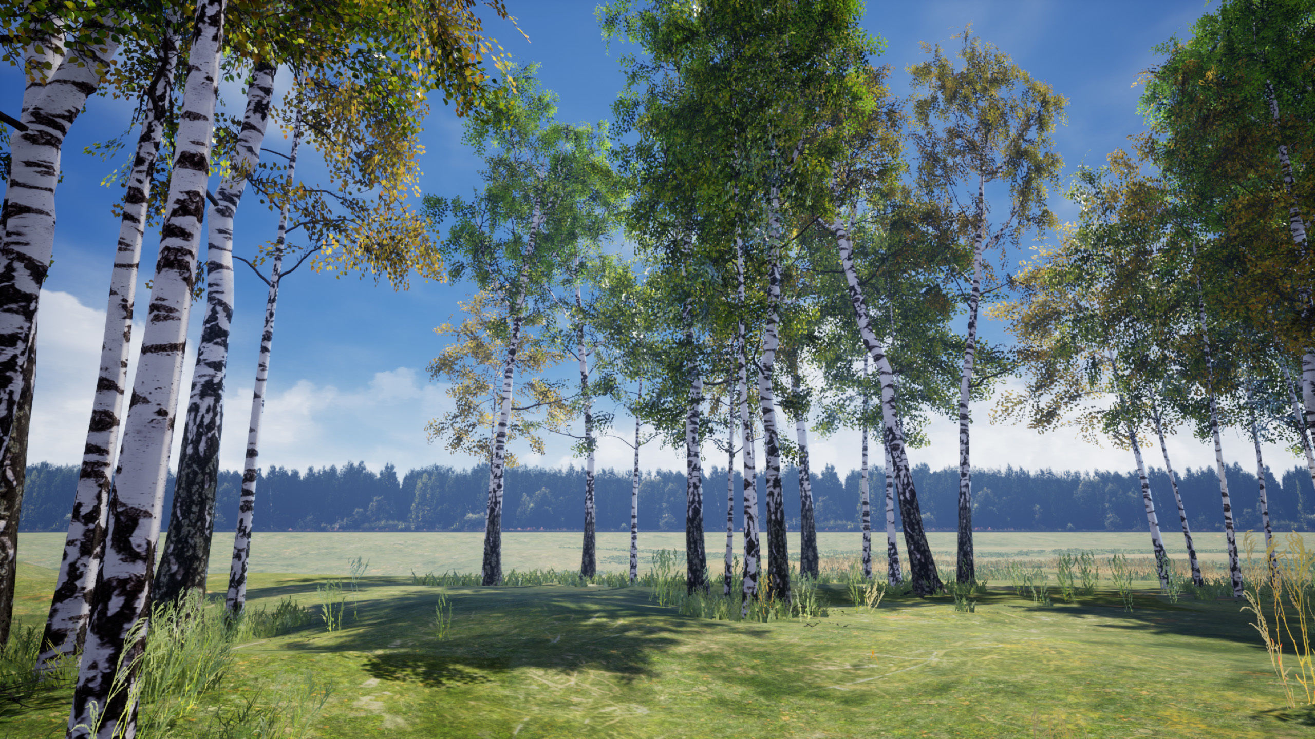 Birch-Tree Grove - low poly Low-poly 3D model_19