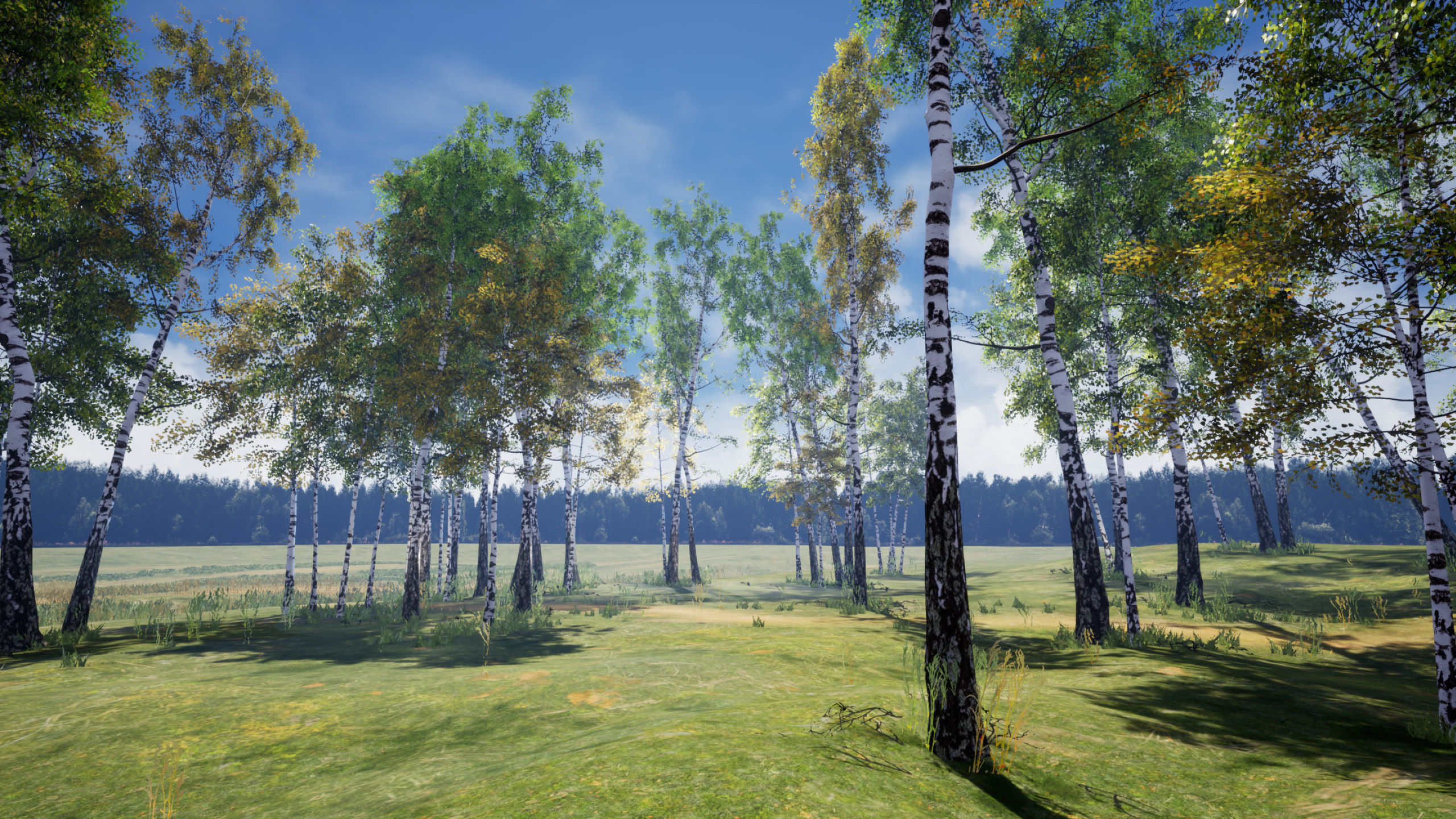 Birch-Tree Grove - low poly Low-poly 3D model_15