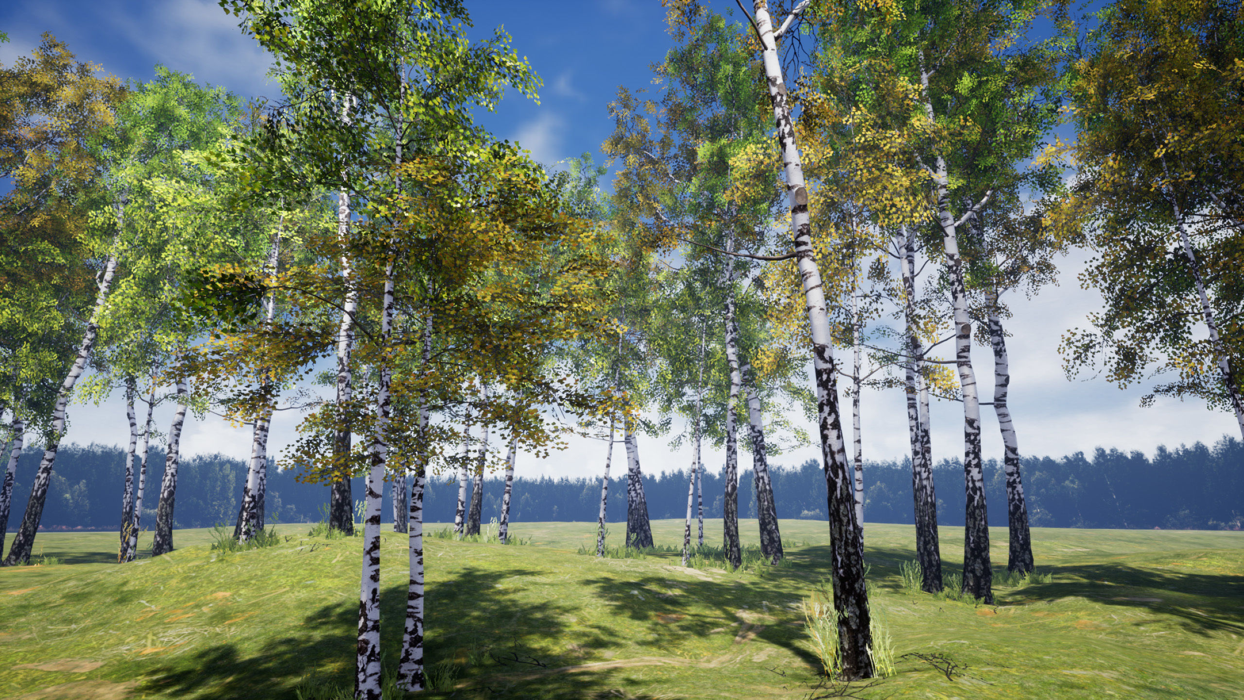 Birch-Tree Grove - low poly Low-poly 3D model_6