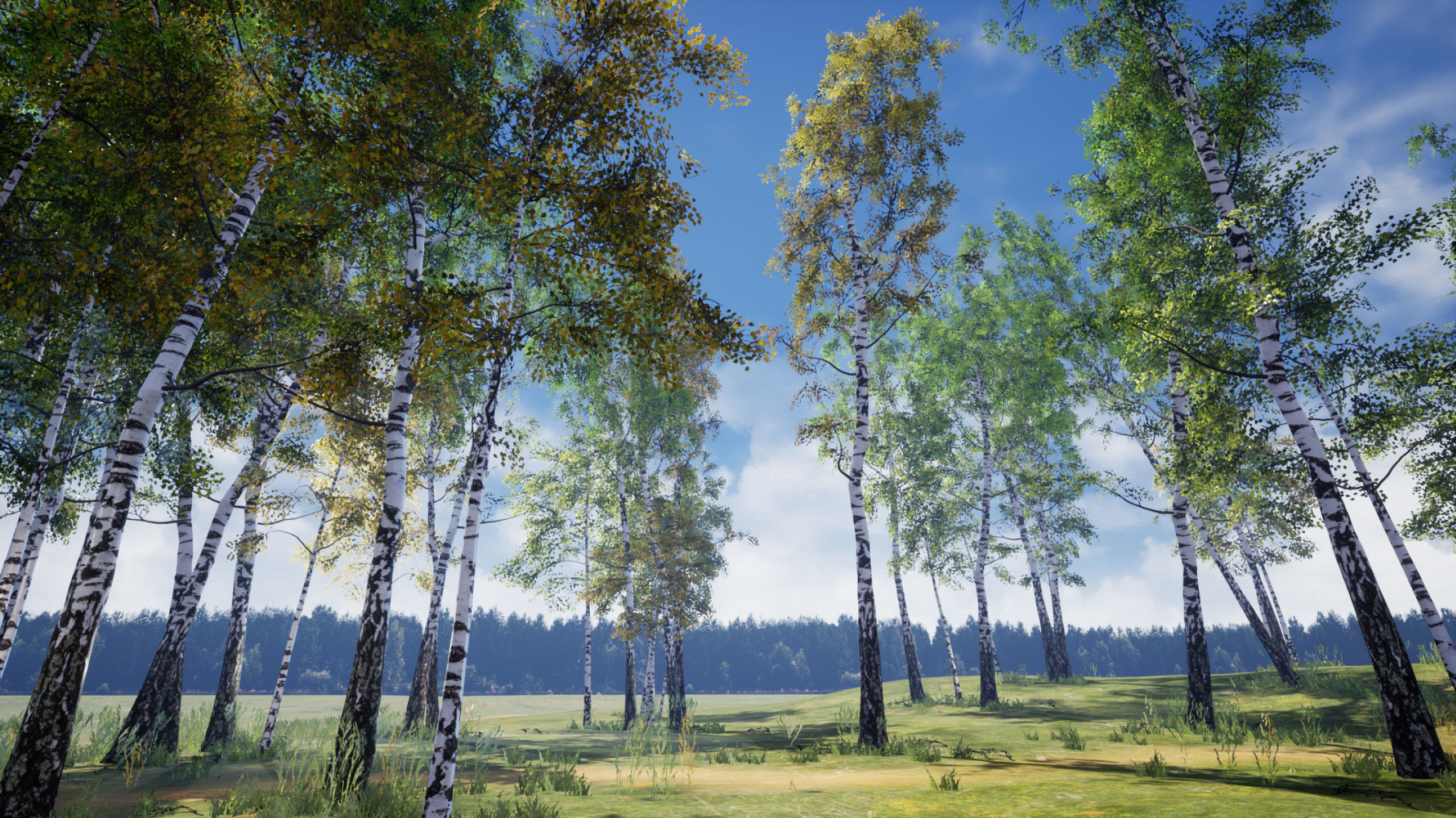 Birch-Tree Grove - low poly Low-poly 3D model_9