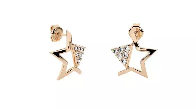 Light wt Women Diamond Earrings  3D print model
