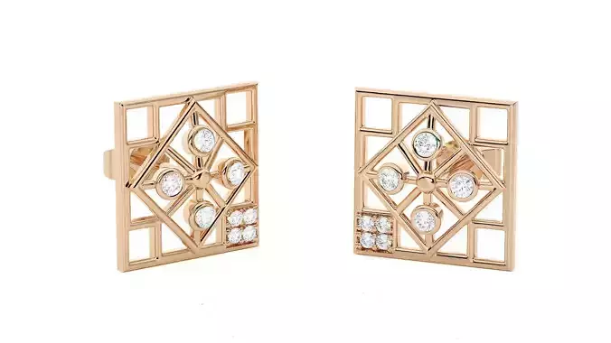 Light wt Women Diamond Earrings 3D print model
