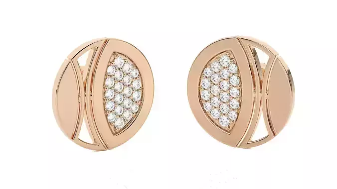 Light wt Women Diamond Earrings  3D print model