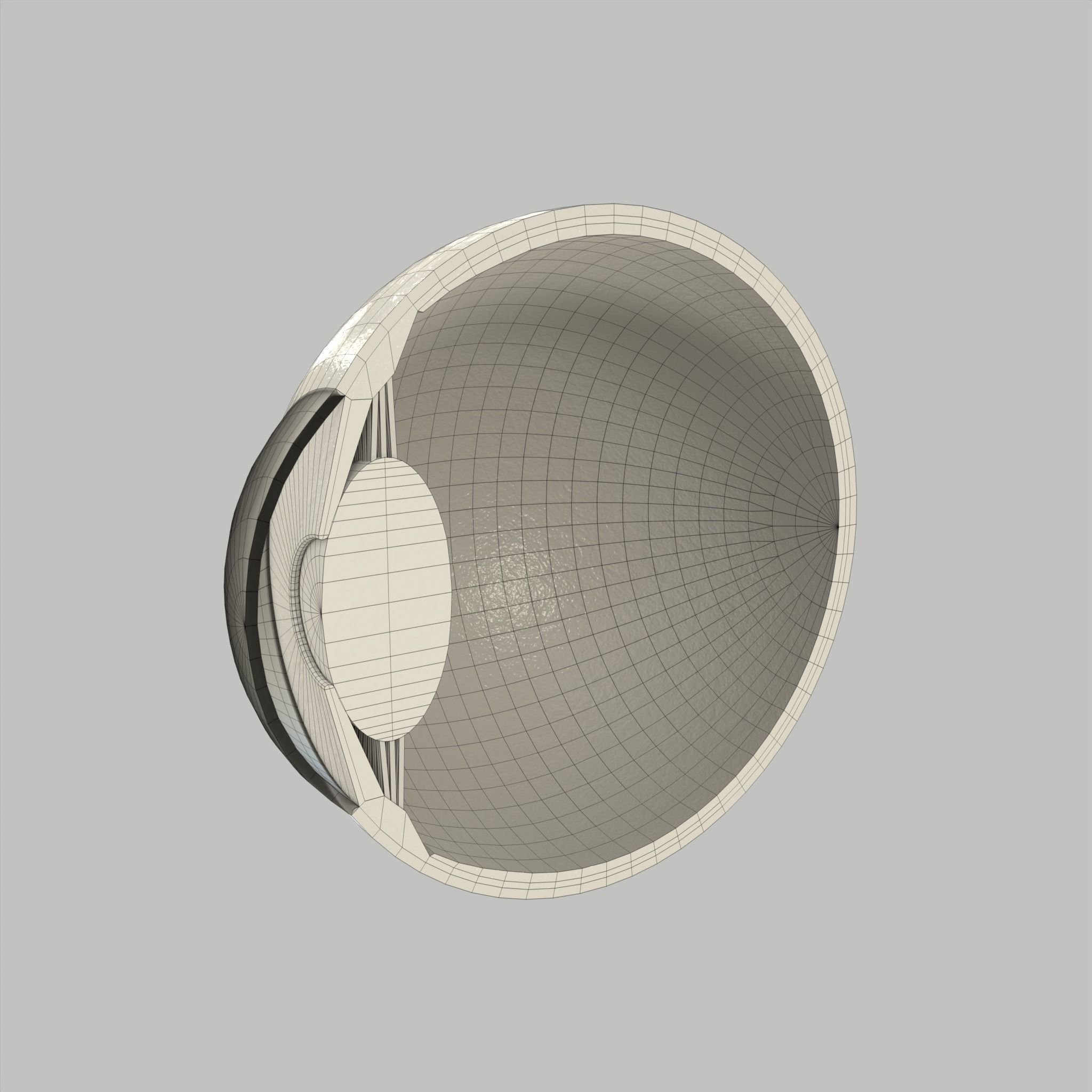 Eye Human Anatomy Section Low-poly 3D model_11