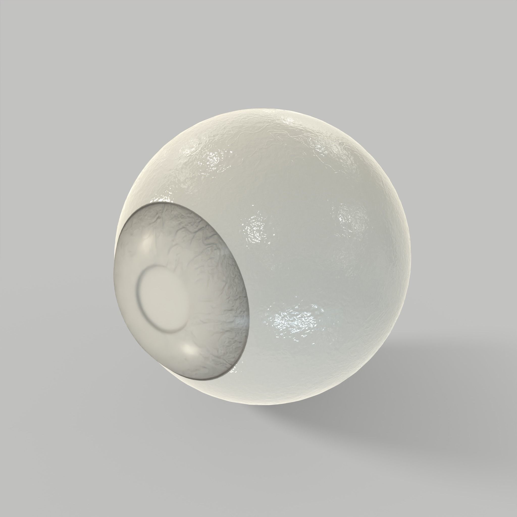 Eye Human Anatomy Section Low-poly 3D model_8