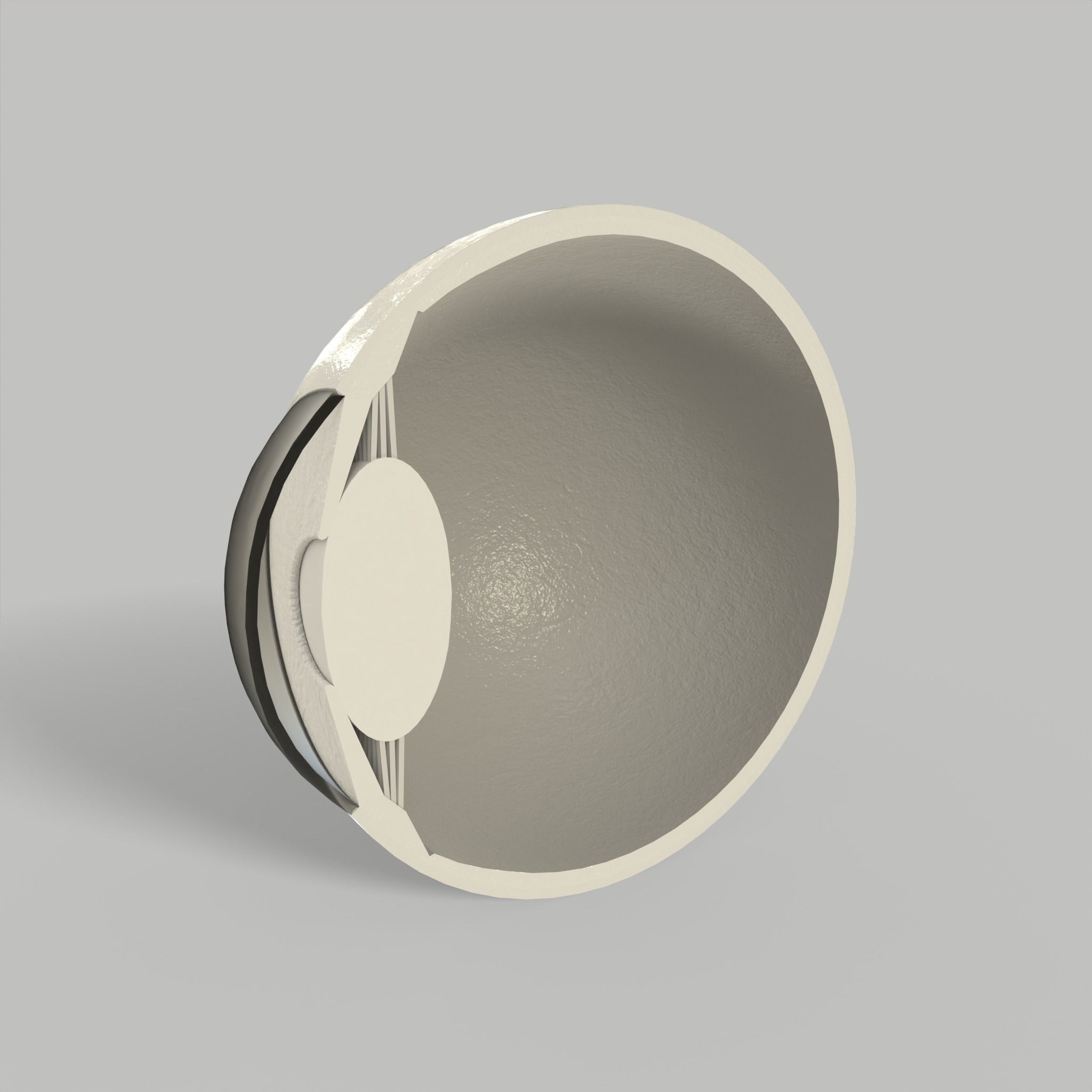 Eye Human Anatomy Section Low-poly 3D model_10