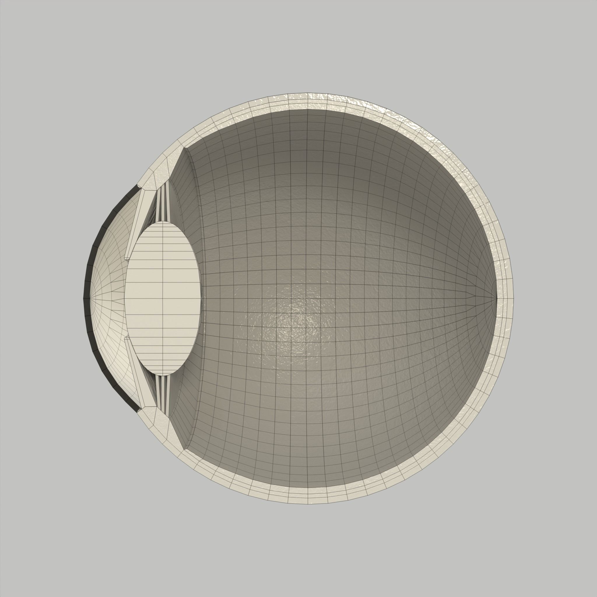 Eye Human Anatomy Section Low-poly 3D model_13
