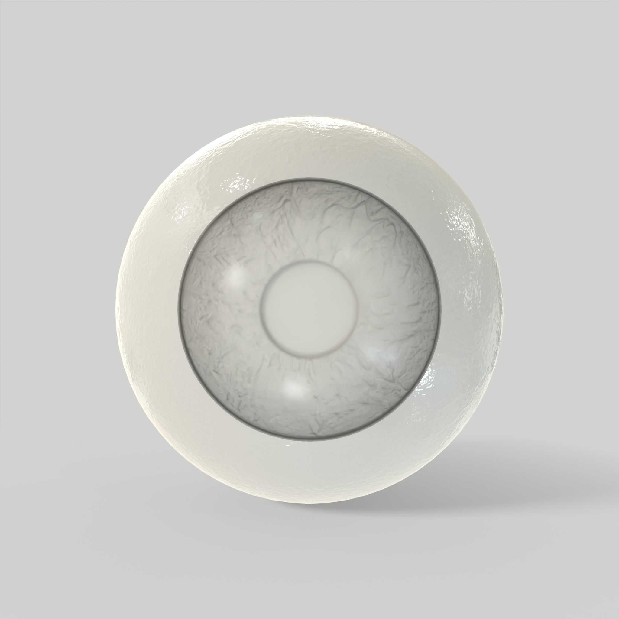 Eye Human Anatomy Section Low-poly 3D model_16