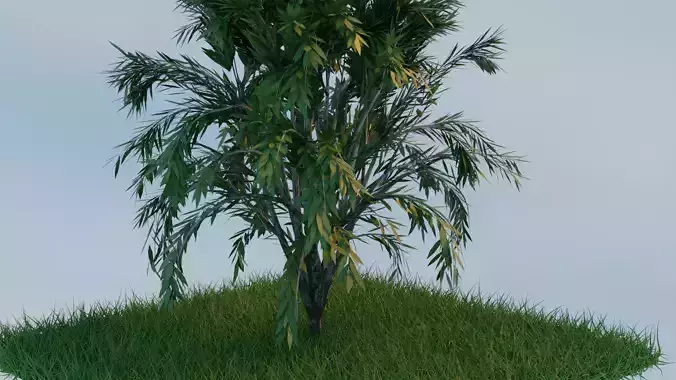 0A Cutting-Edge Realistic 3D Grass Model