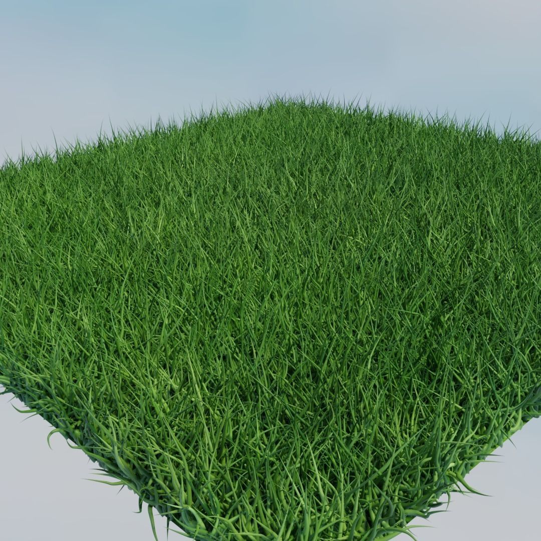 0A Cutting-Edge Realistic 3D Grass Model Low-poly 3D model_1