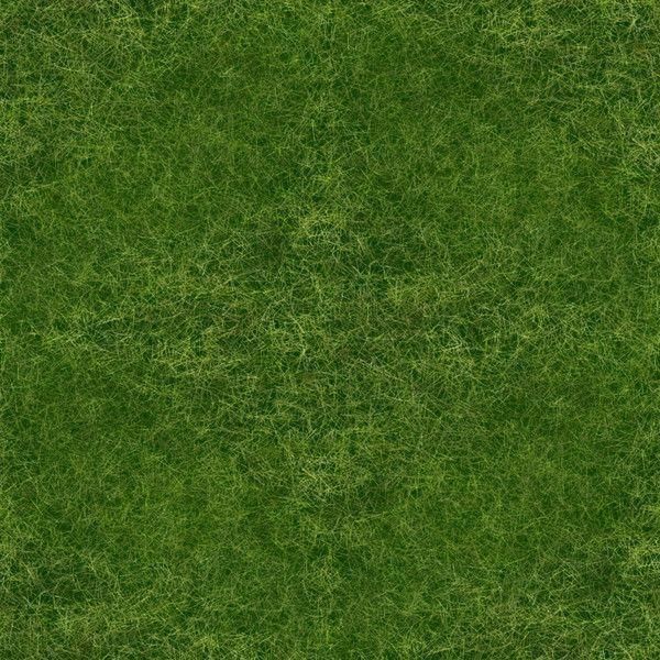 0A Cutting-Edge Realistic 3D Grass Model Low-poly 3D model_4