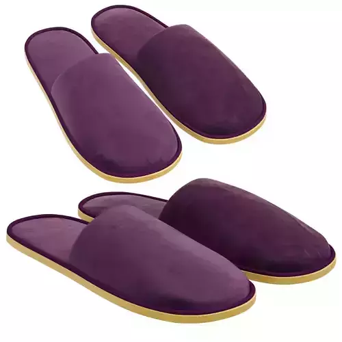 Spa Slippers