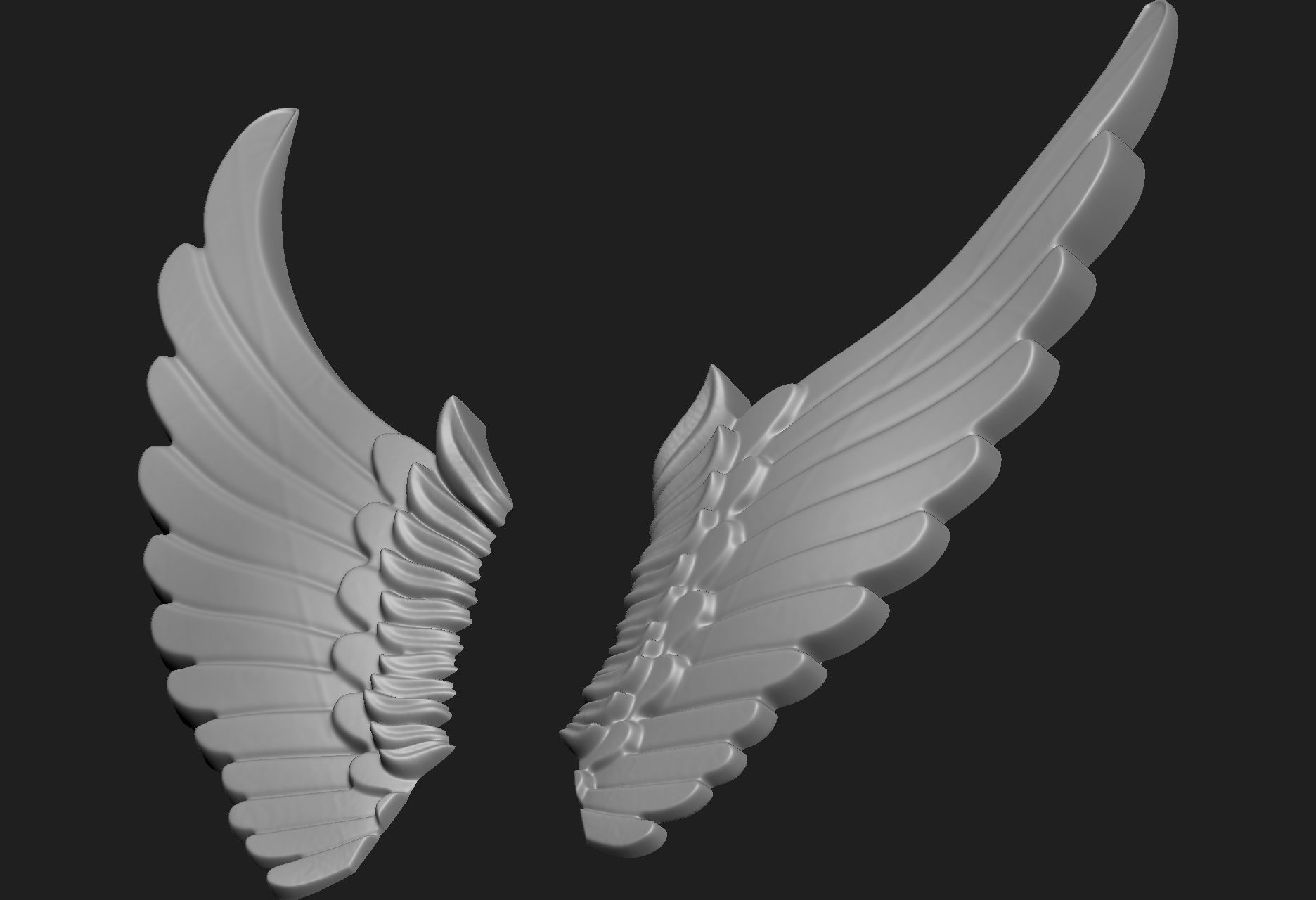 wings 01 3D model_12