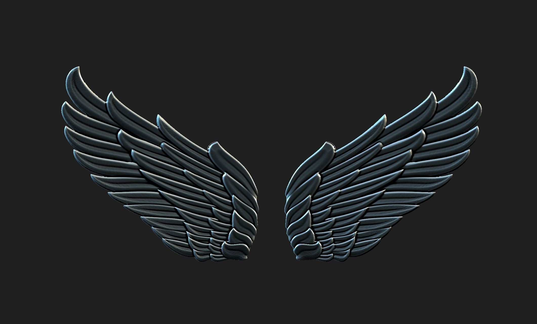 wings 01 3D model_2