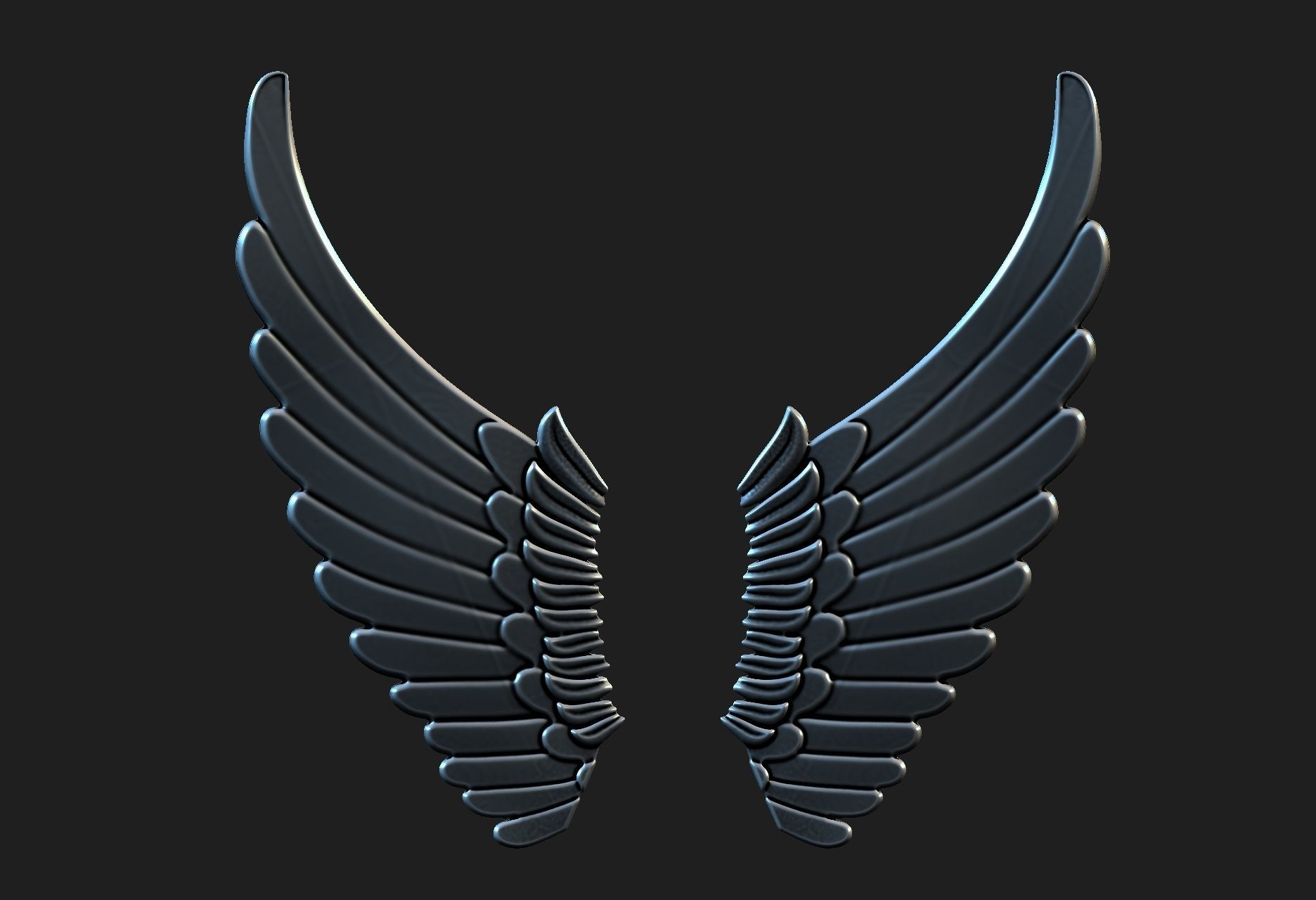 wings 01 3D model_13