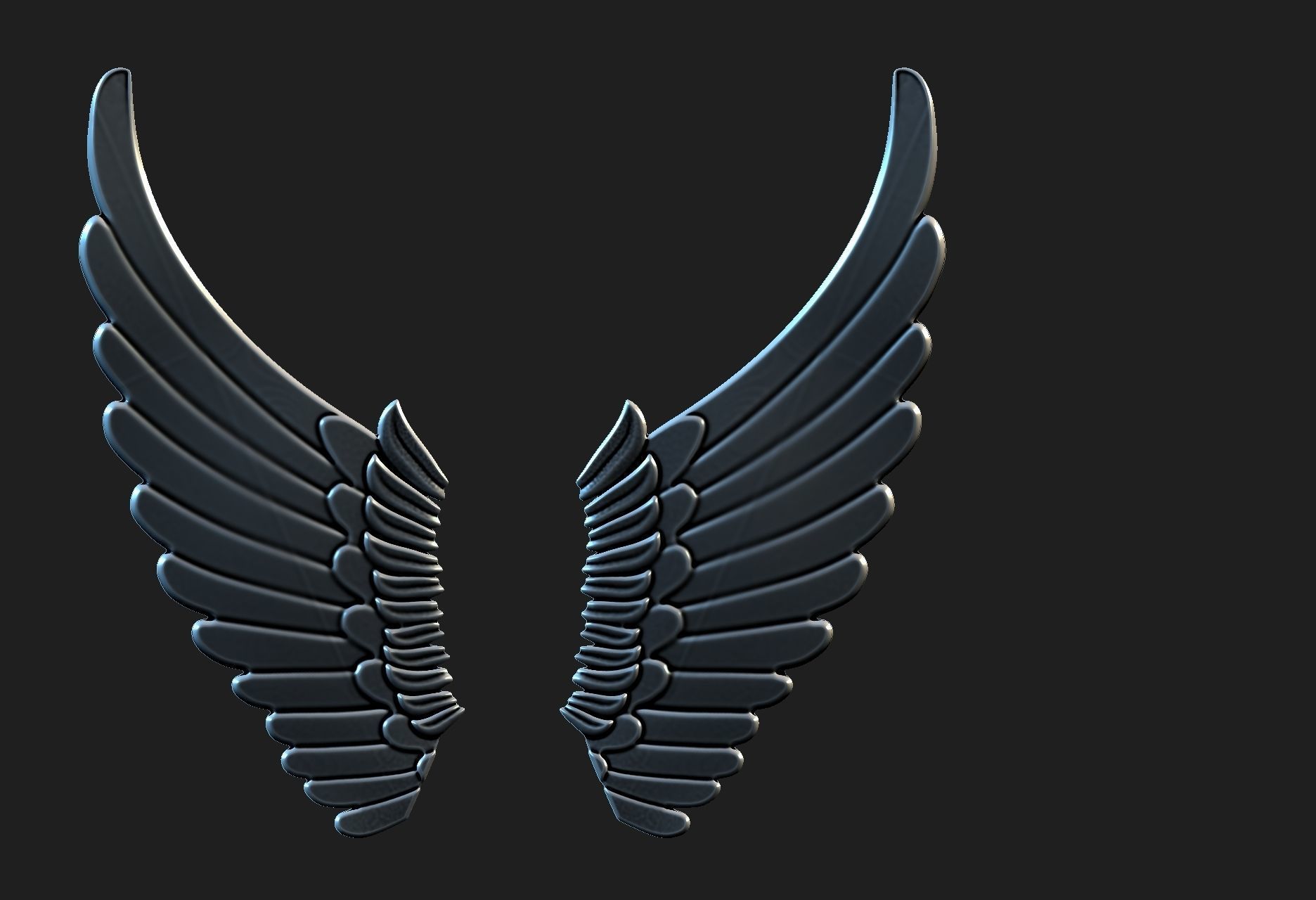 wings 01 3D model_11