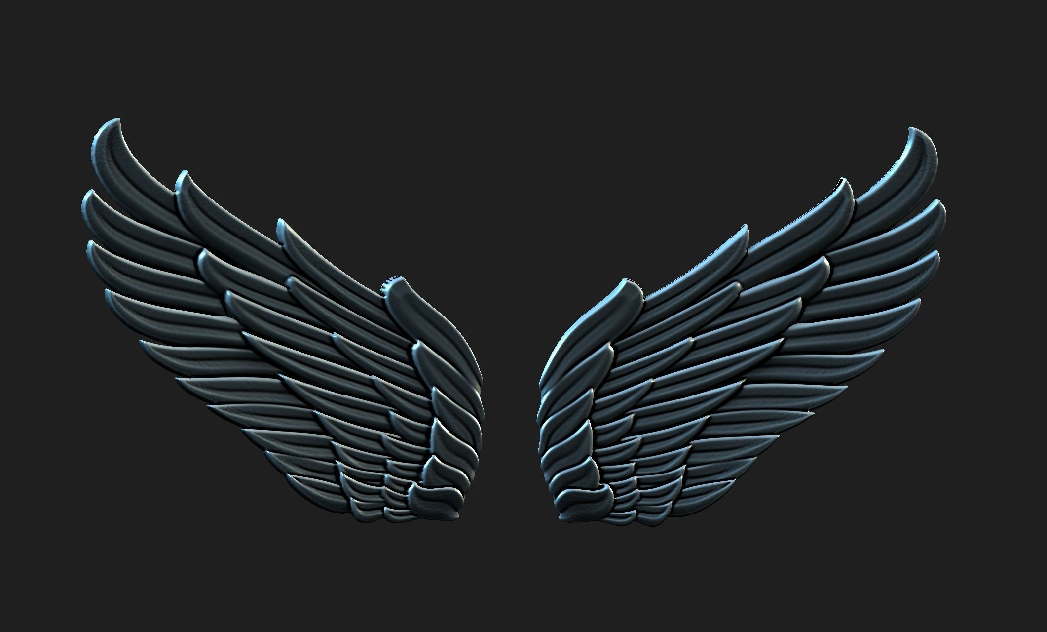wings 01 3D model_3
