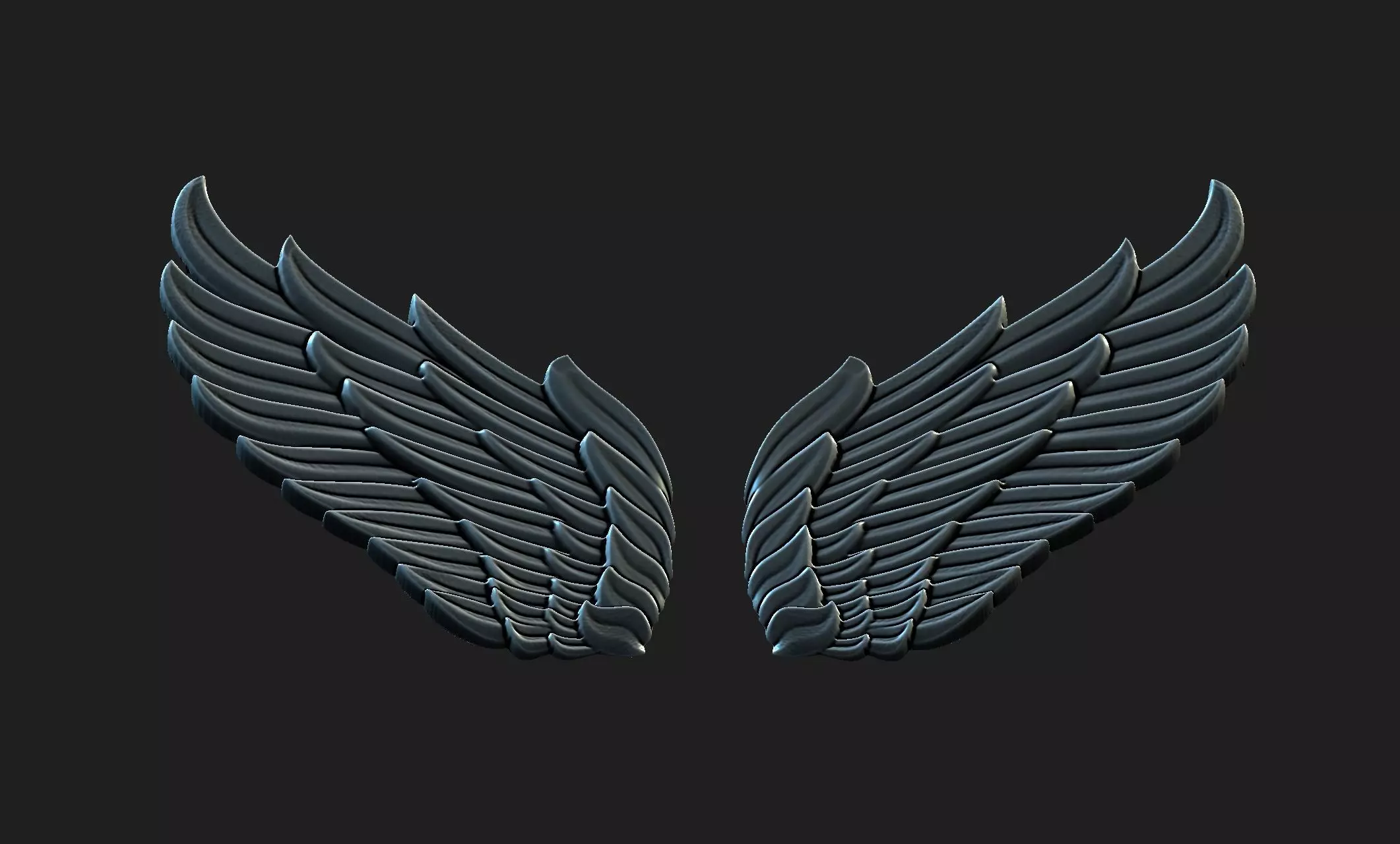 wings 01 3D model_0