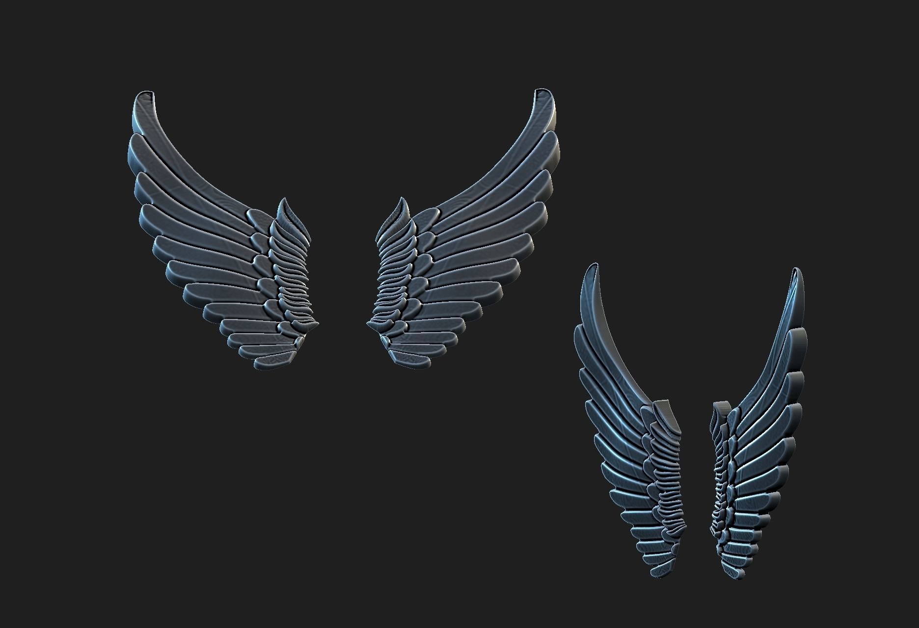 wings 02 3D model_3