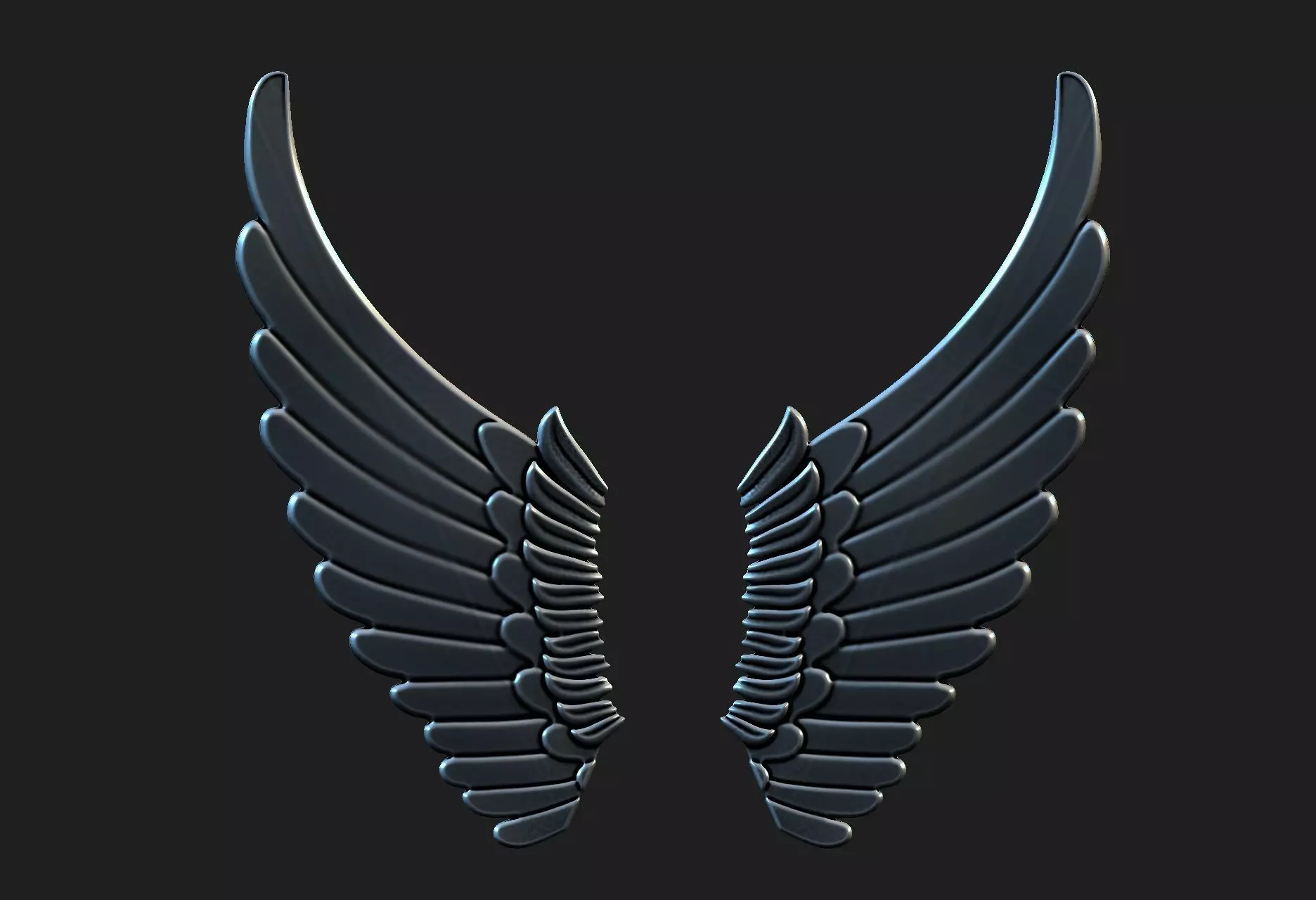 wings 02 3D model_0