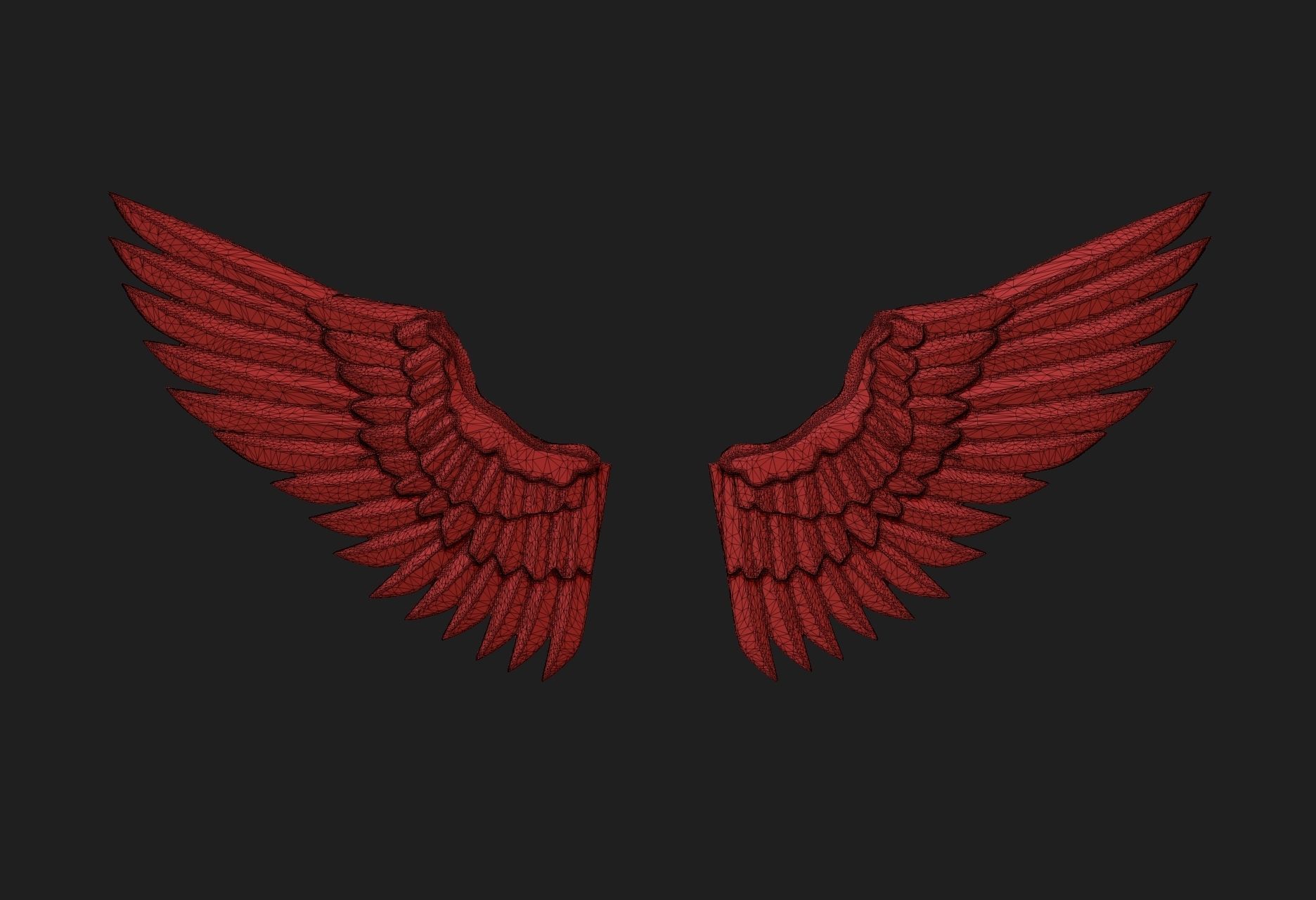 wings03 3D model_6