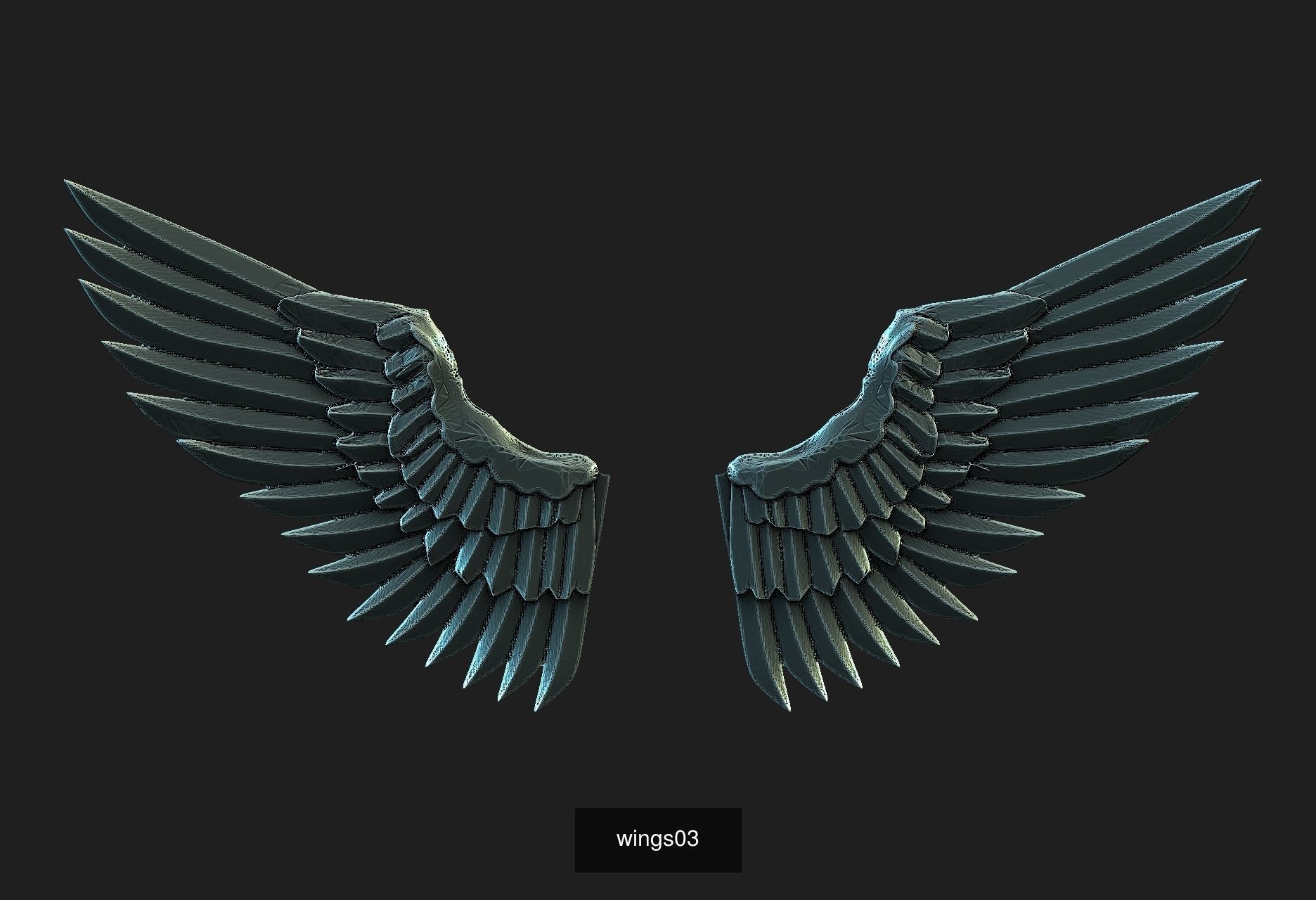 wings 3D Model Collection_3