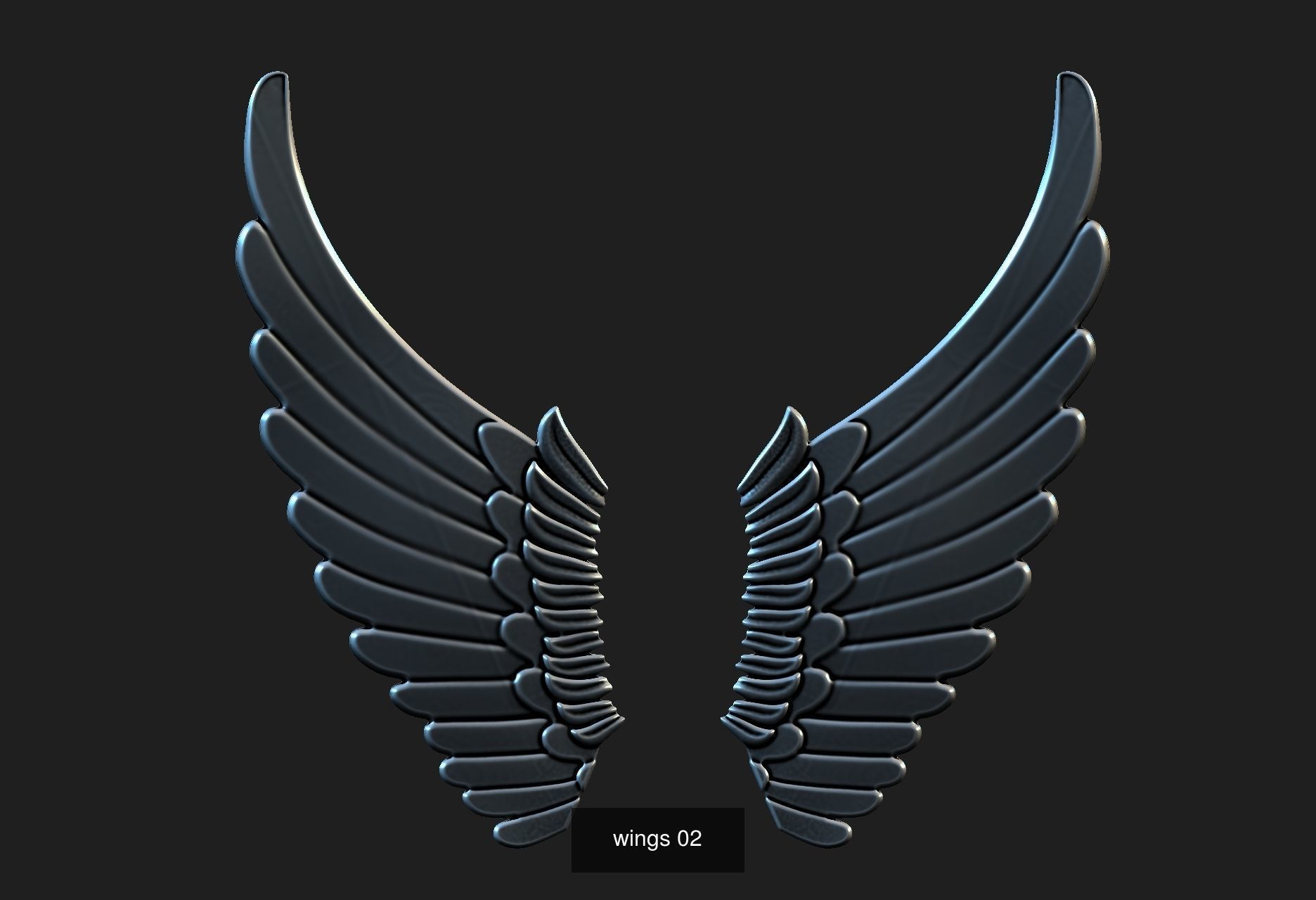 wings 3D Model Collection_2