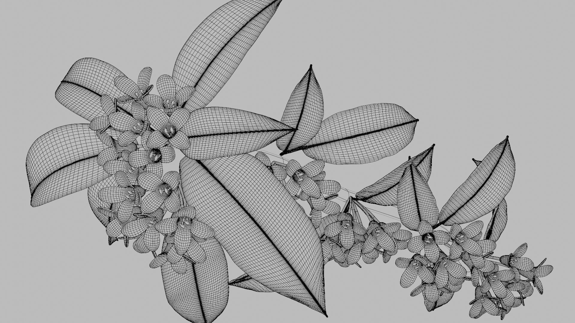 Osmanthus low poly 3D model Low-poly 3D model_5