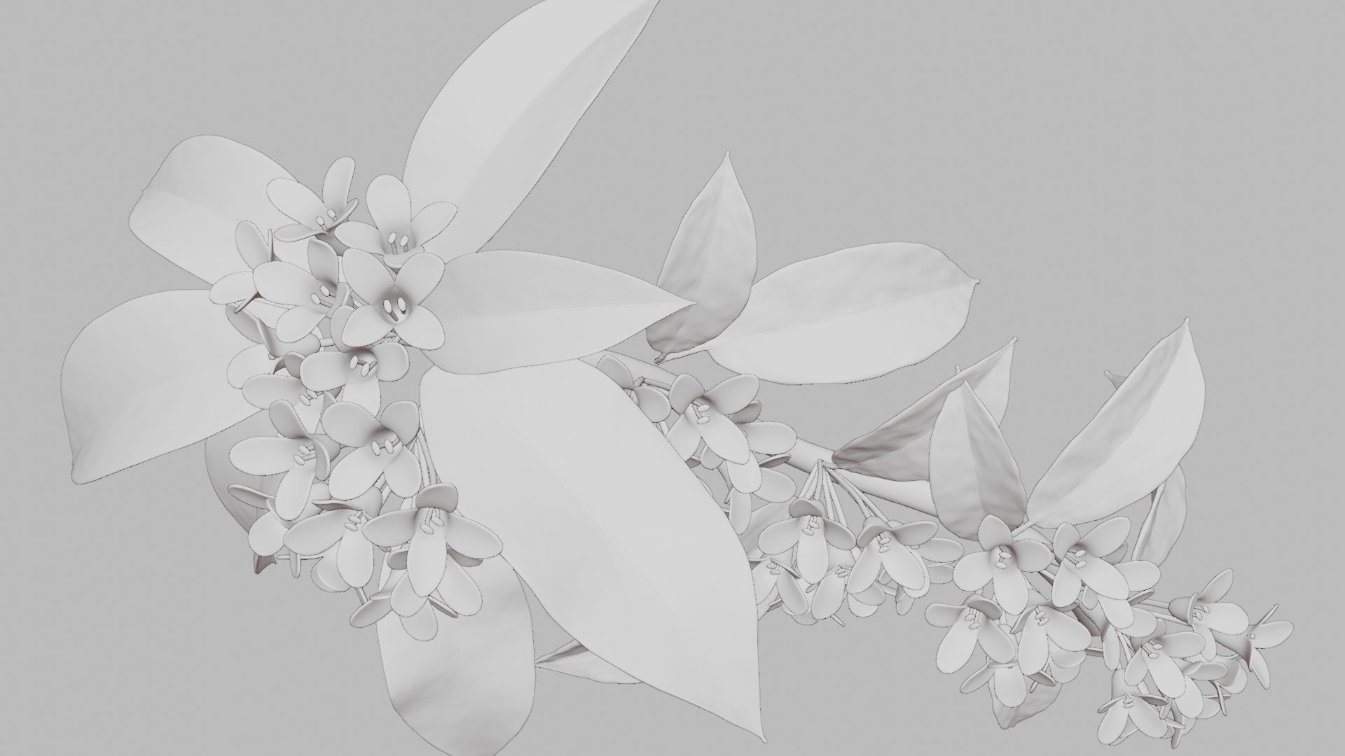 Osmanthus low poly 3D model Low-poly 3D model_4