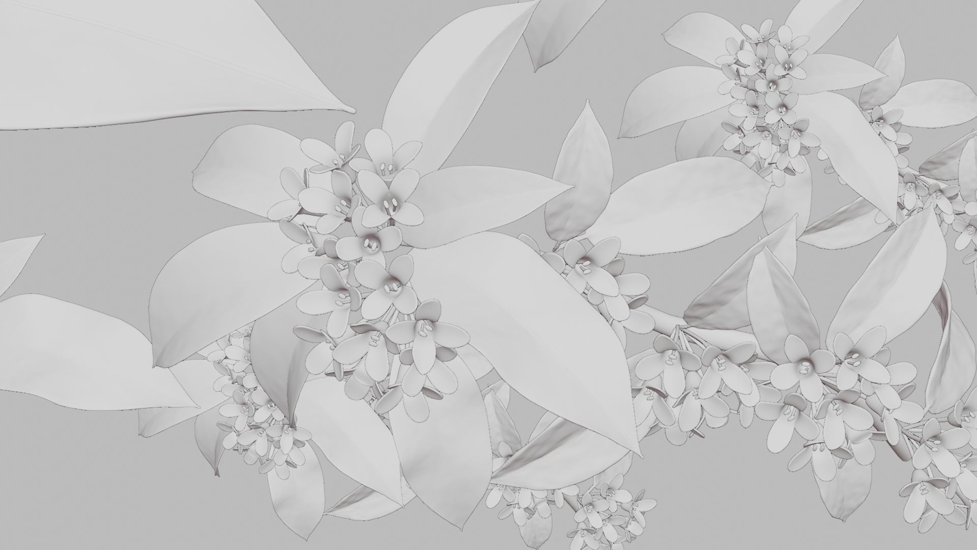 Osmanthus low poly 3D model Low-poly 3D model_2