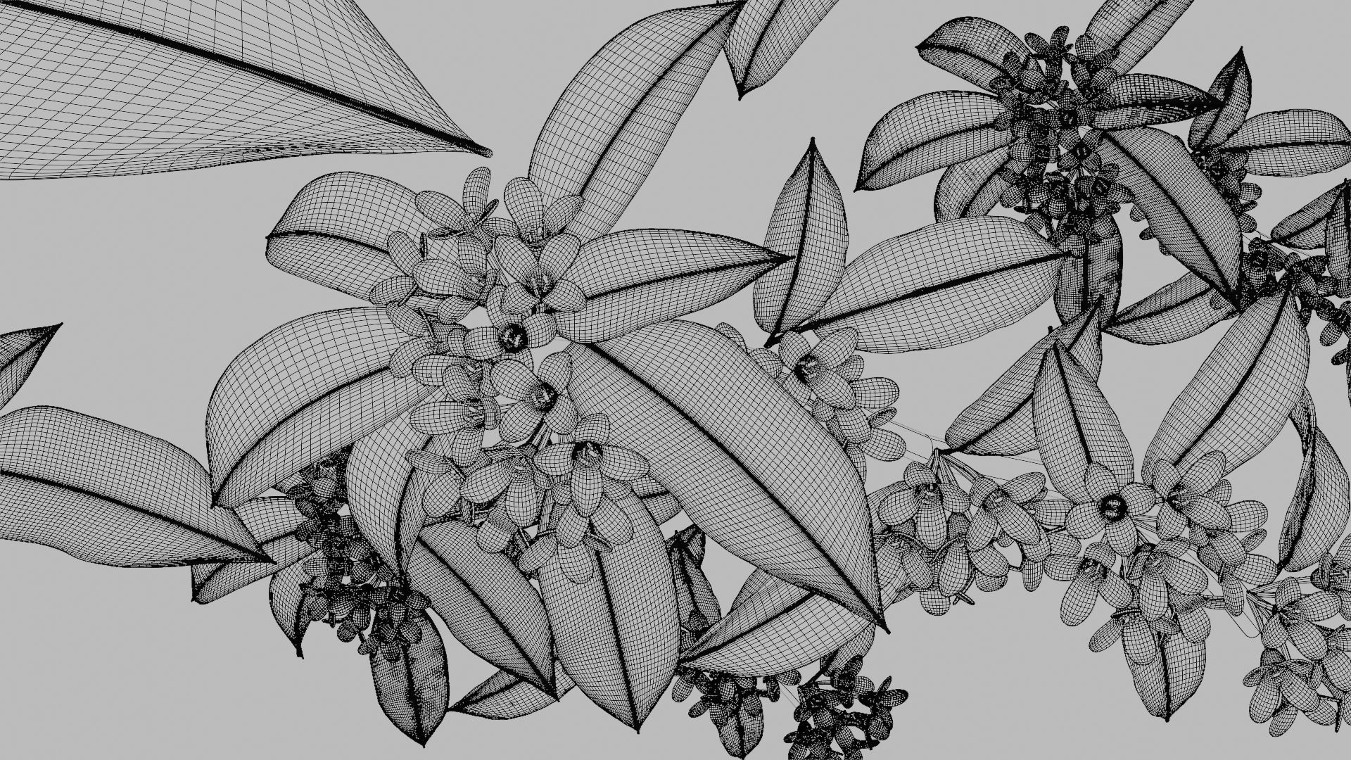 Osmanthus low poly 3D model Low-poly 3D model_3