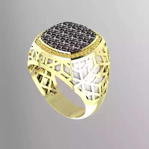men s stone ring