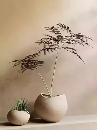 Vases with Plants 7